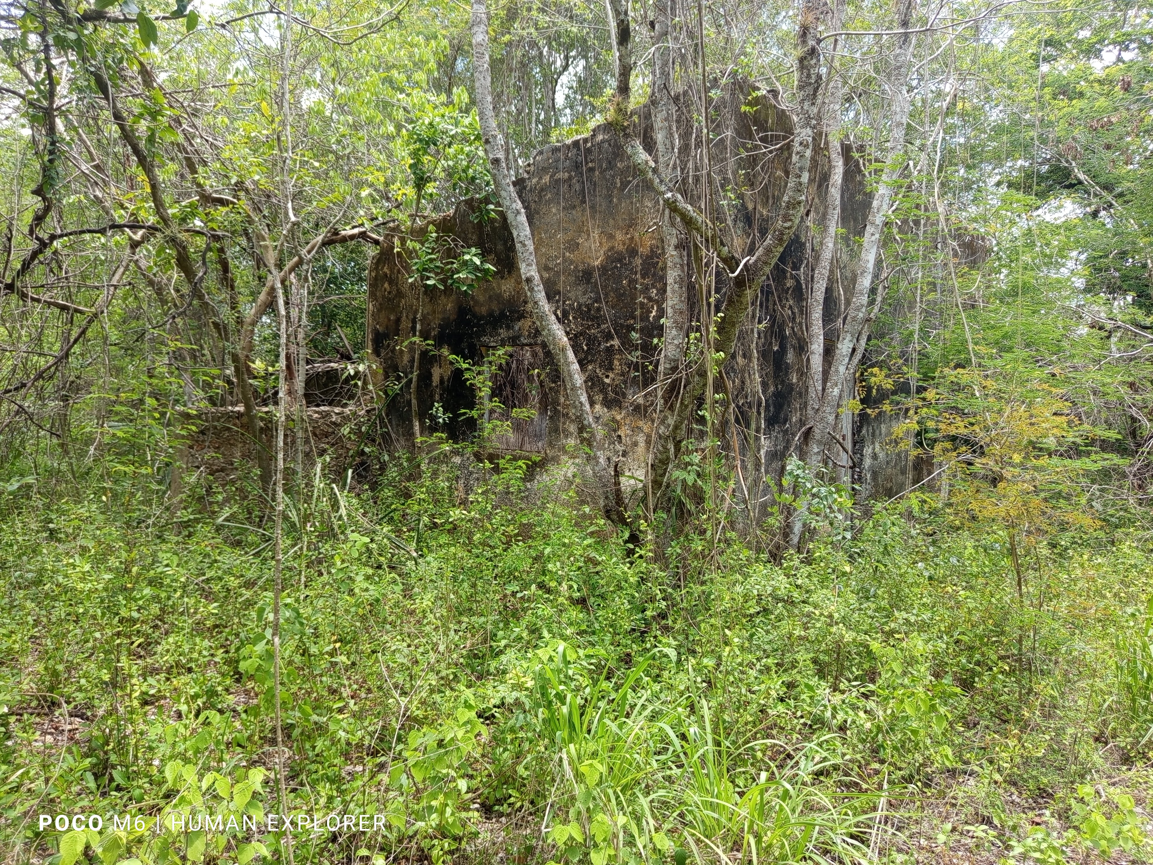 Help Us to keep Rediscovering ancient or abandones places campaign photo, 5 of 7