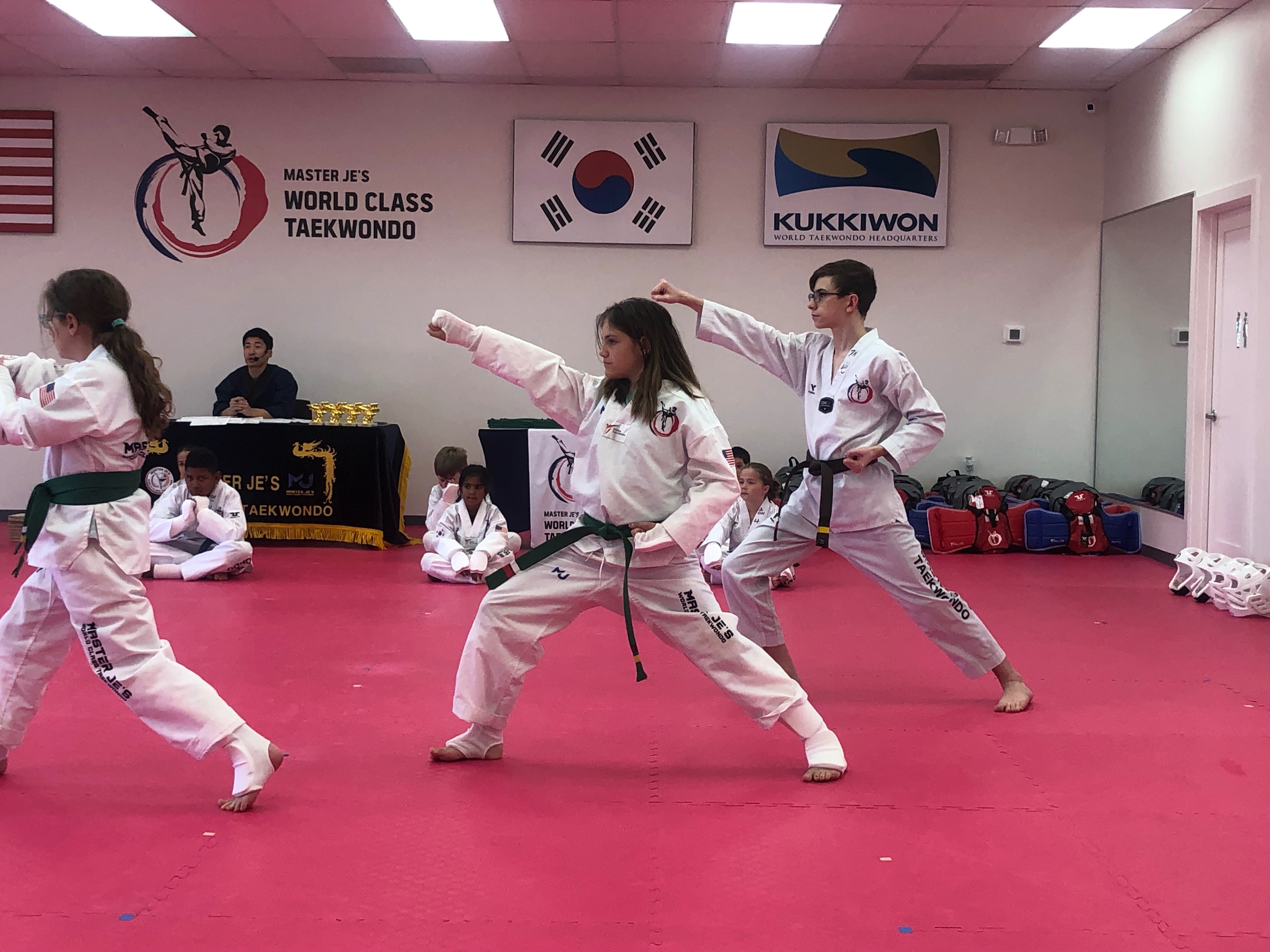 Support Piper’s Journey to Become A Black Belt campaign photo, 4 of 8