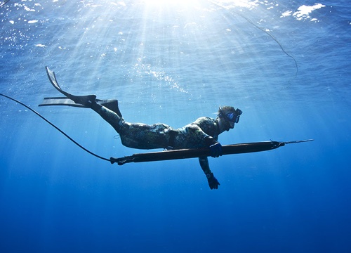 Help Fishermen and Seals Coexist Peacefully campaign photo, 5 of 6
