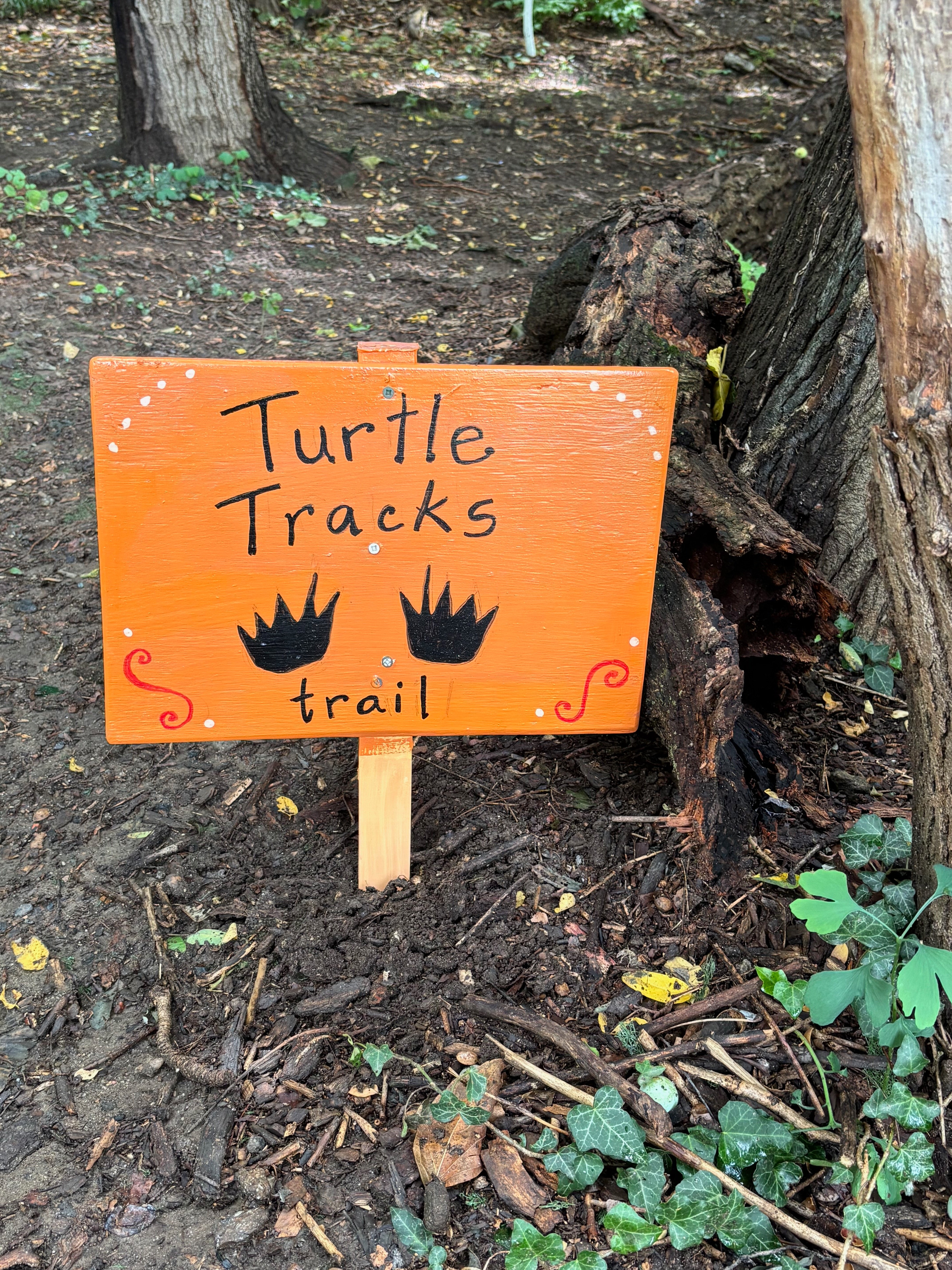 Planting for Turtle Park campaign photo, 2 of 5