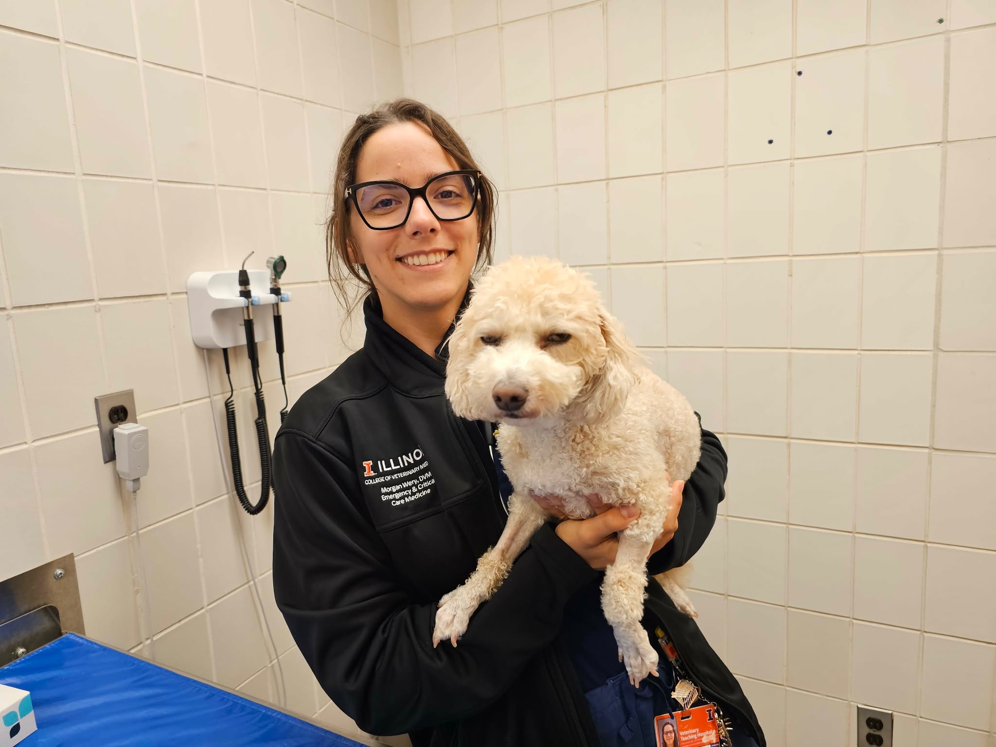 Support Sadie’s Medical Care and Healing campaign photo, 2 of 7
