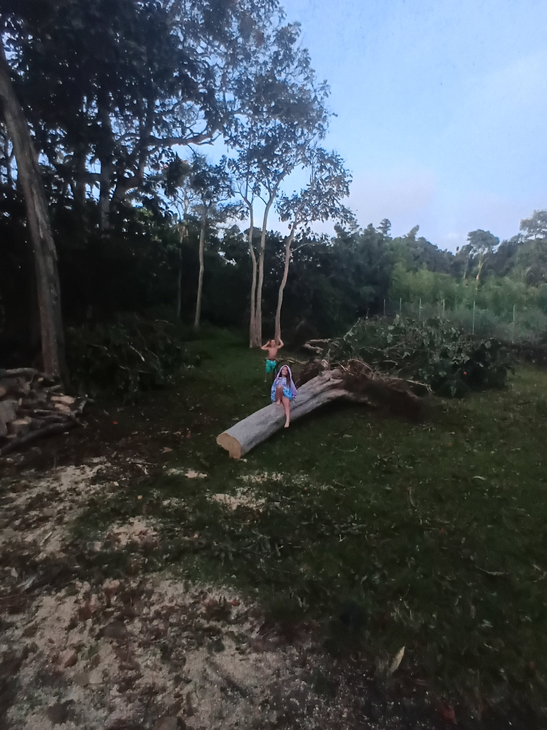 Help Andrew Family Recover After Storms campaign photo, 4 of 8