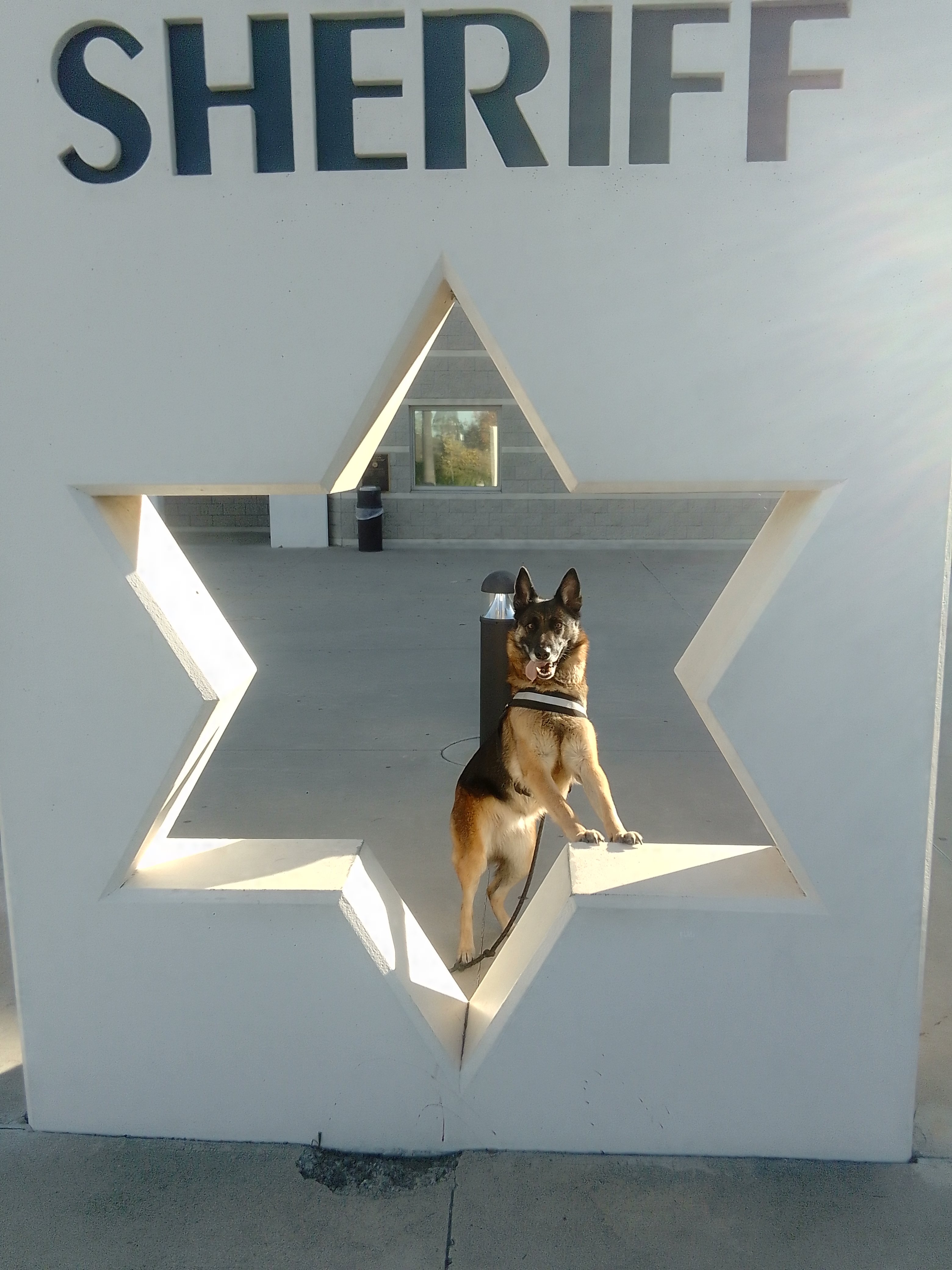 Help Beth and Her Dog Find Stability campaign photo, 4 of 7
