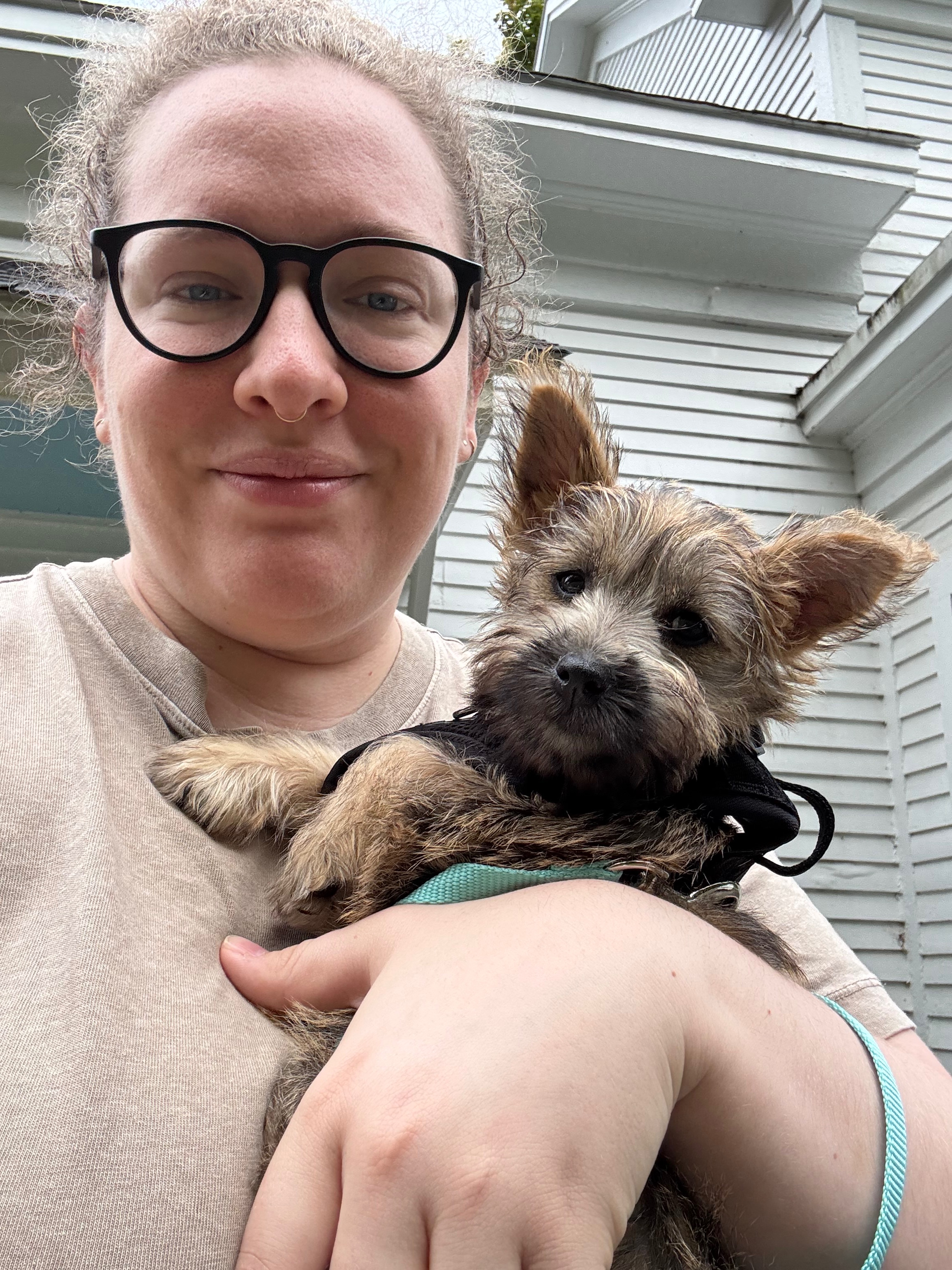 Help Kiwi Heal: 1yo Cairn Terrier Knee Surgery campaign photo, 2 of 7