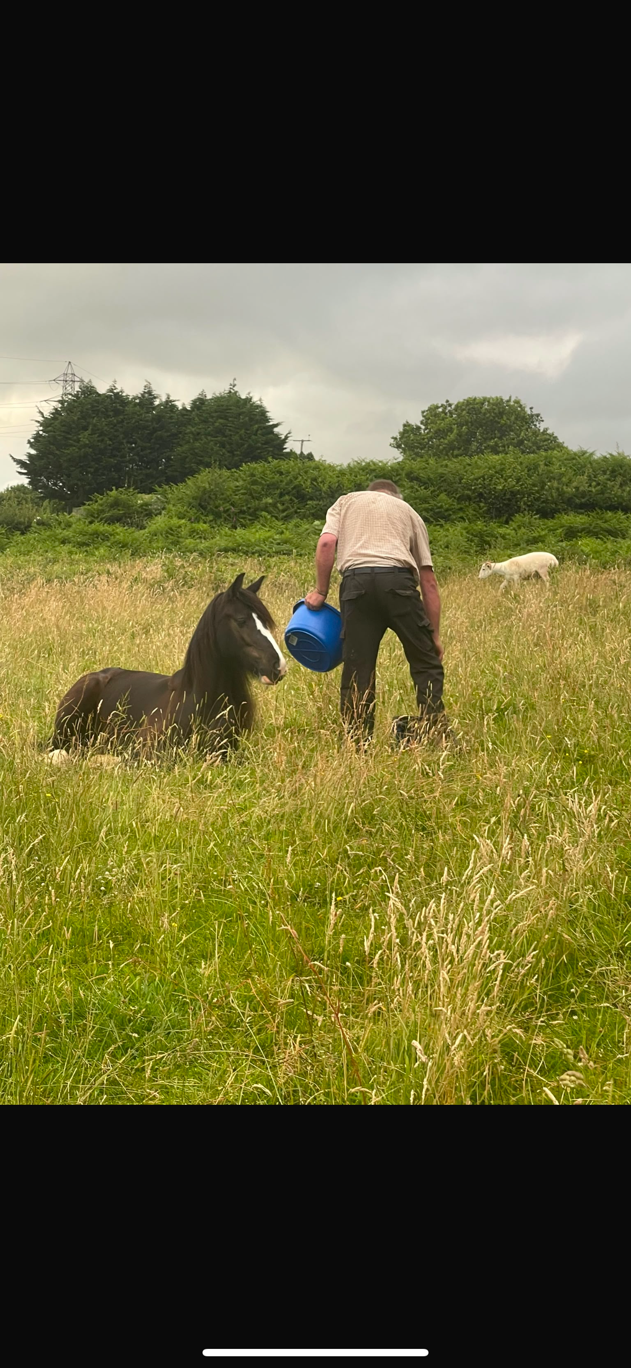 Vandalism & attempted arson at our local farm campaign photo, 2 of 7