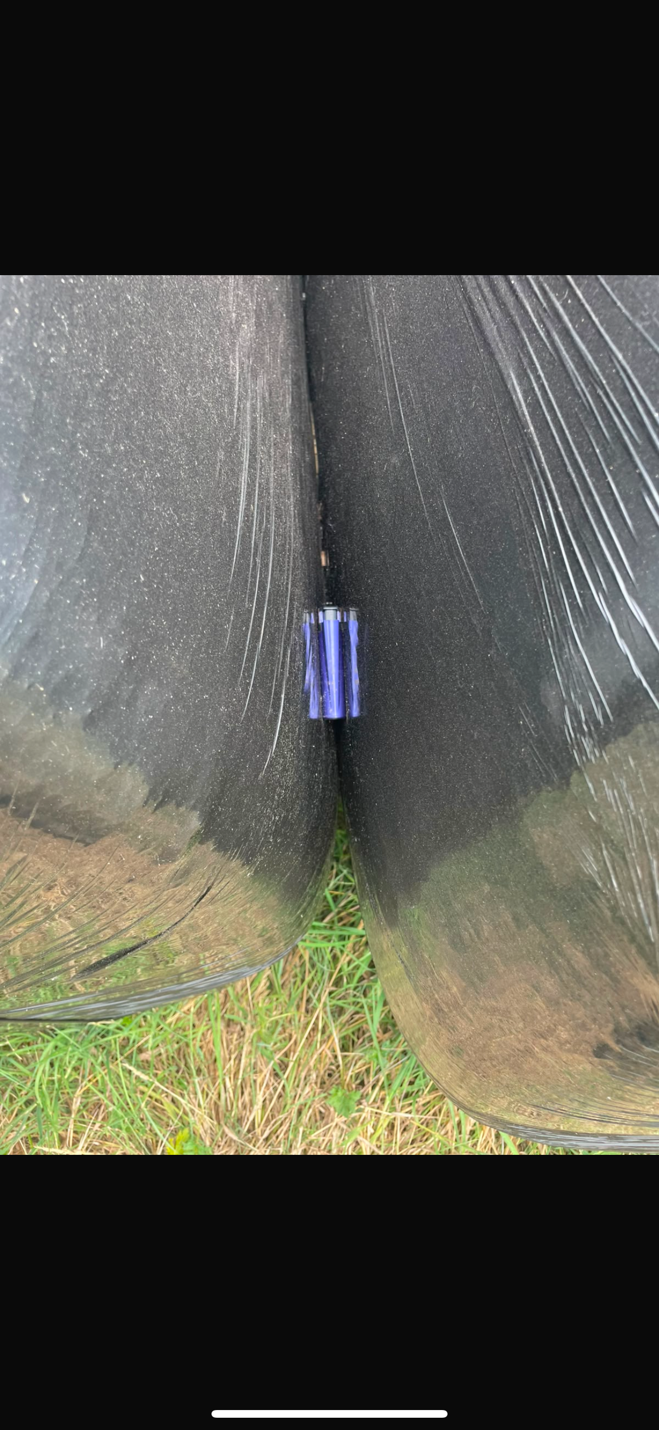 Vandalism & attempted arson at our local farm campaign photo, 4 of 7