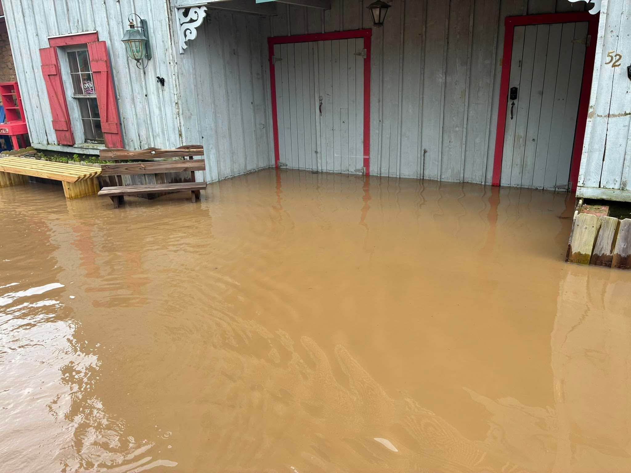 Support Our Bookstore's Recovery After Flood campaign photo, 4 of 8