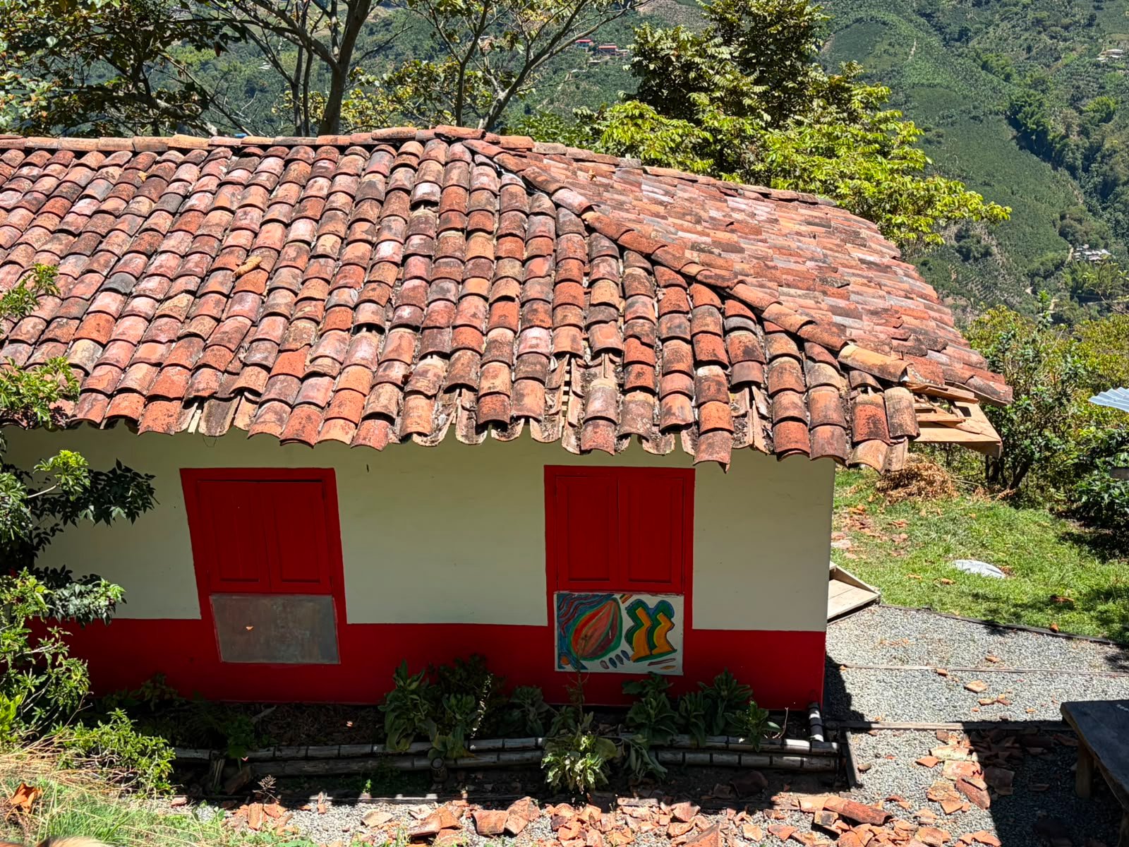 Rebuilding Tío Conejo After the Earthquake campaign photo, 6 of 8