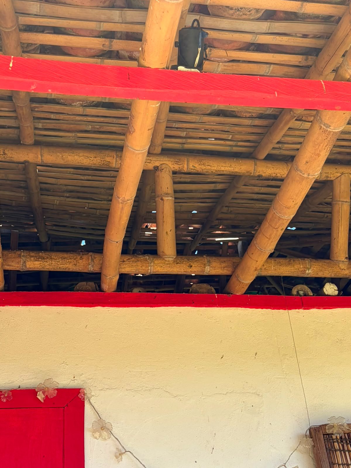 Rebuilding Tío Conejo After the Earthquake campaign photo, 4 of 8