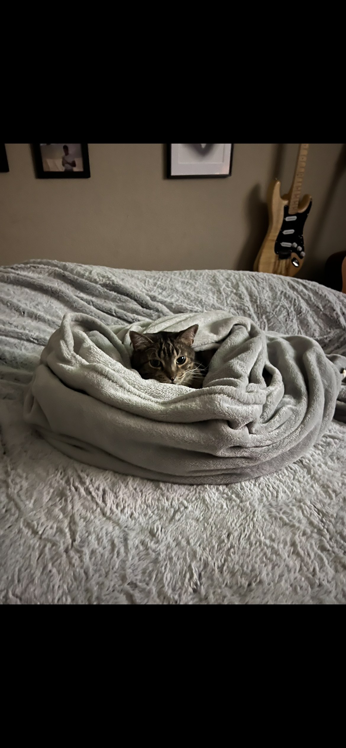 Urgent Surgery For My Best Boy campaign photo, 2 of 8