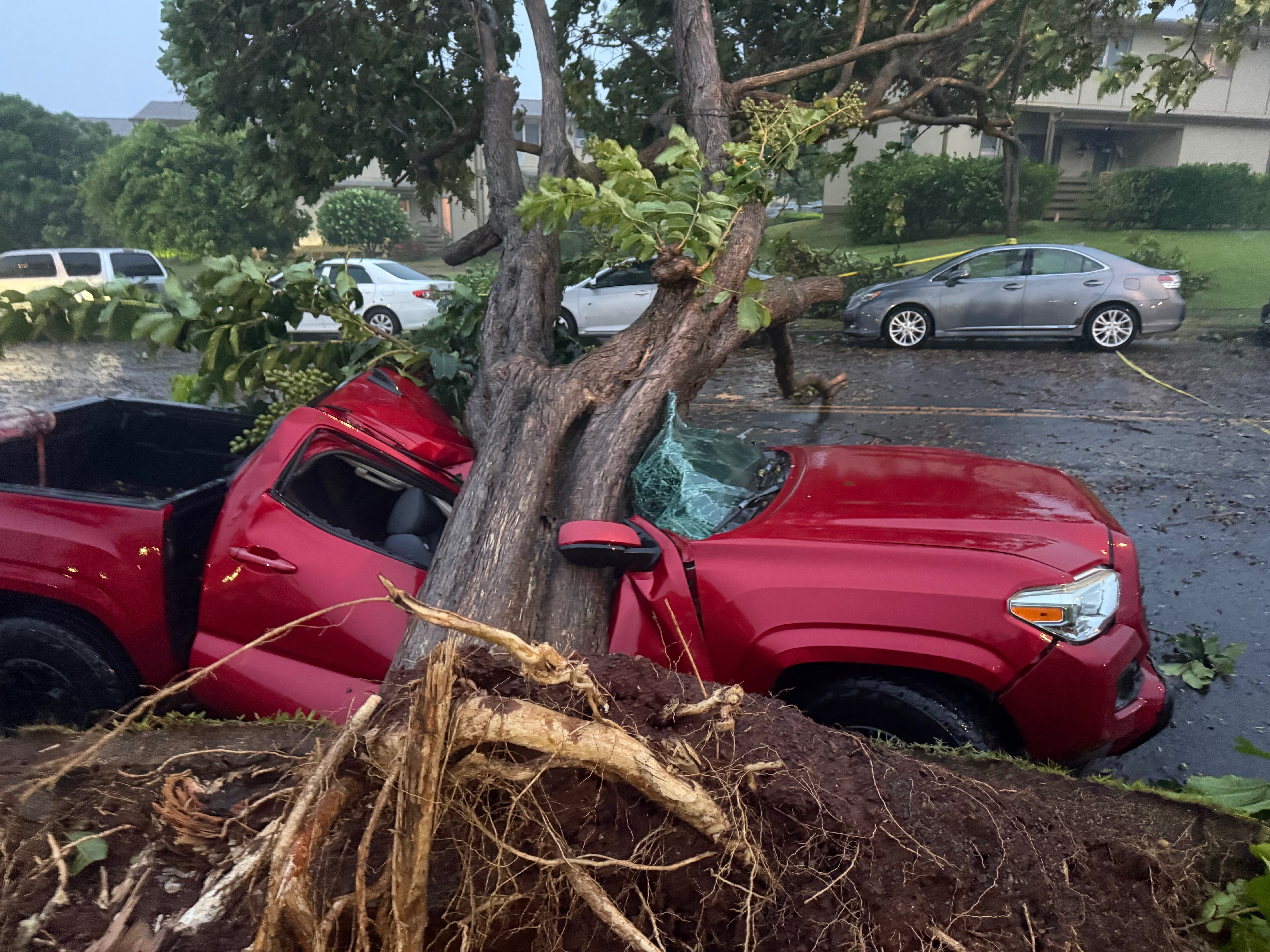 Help Replace My Truck After Hurricane Lala campaign photo, 4 of 5