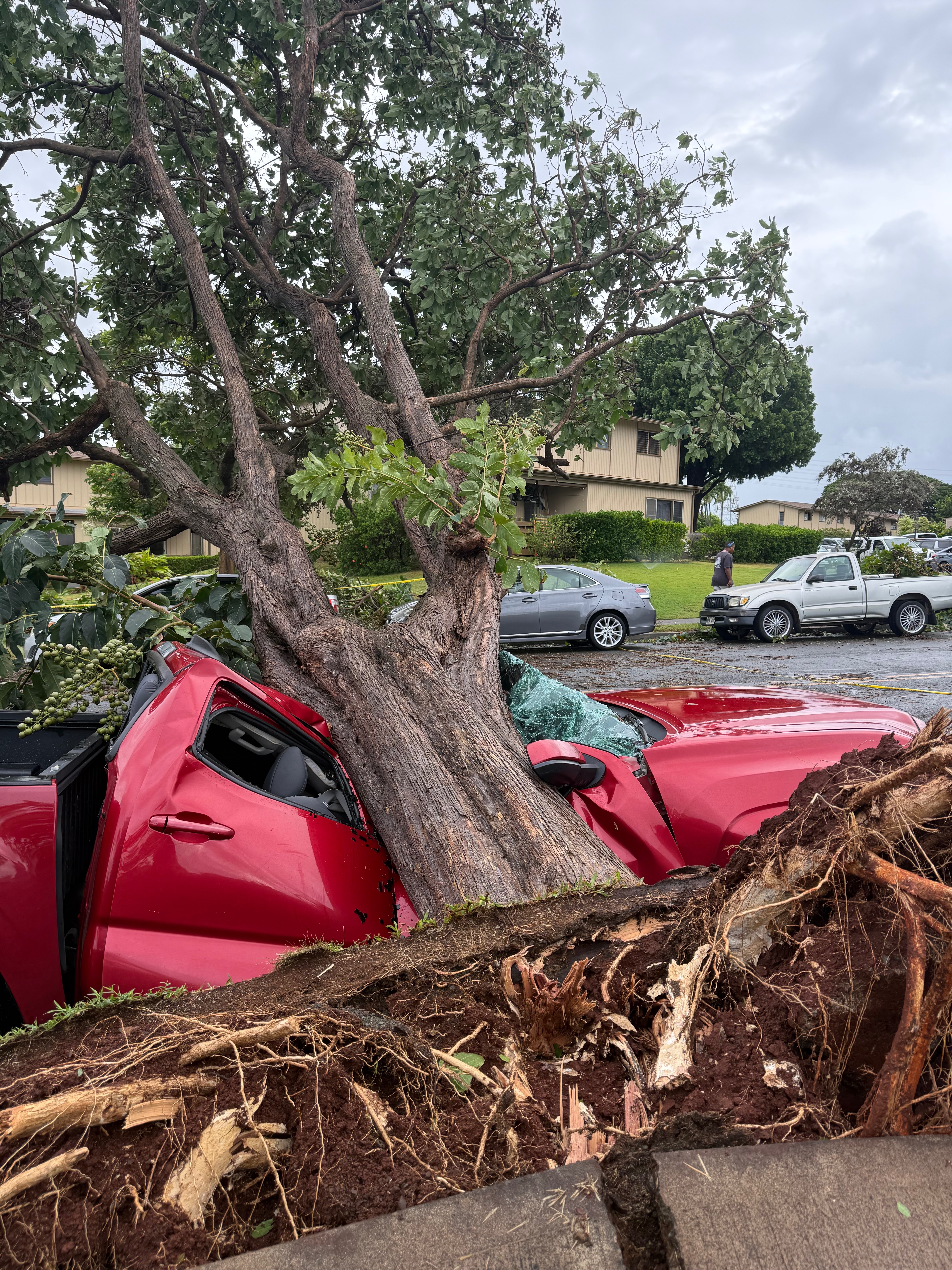 Help Replace My Truck After Hurricane Lala campaign photo, 2 of 5