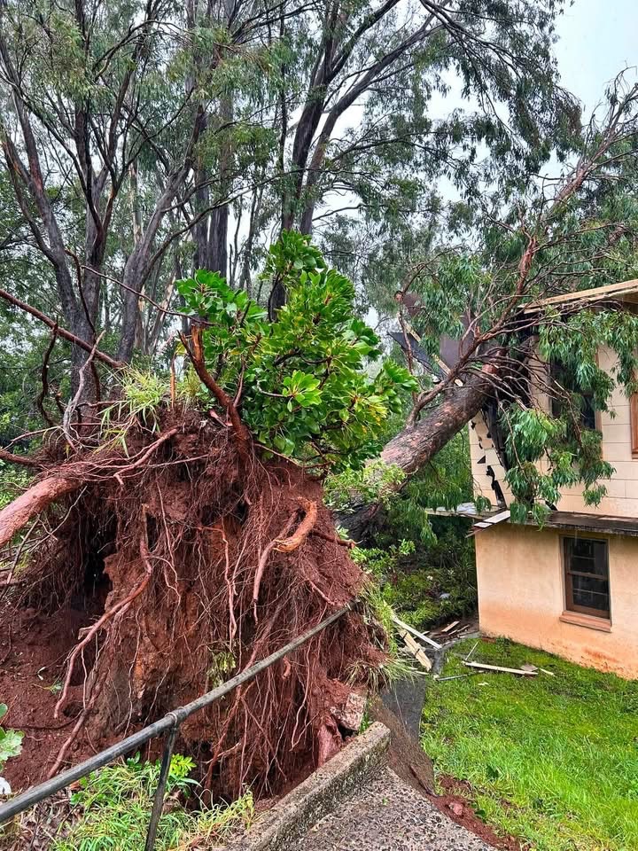 Help St. Joseph’s Catholic Church After Hurricane Lala campaign photo, 4 of 8