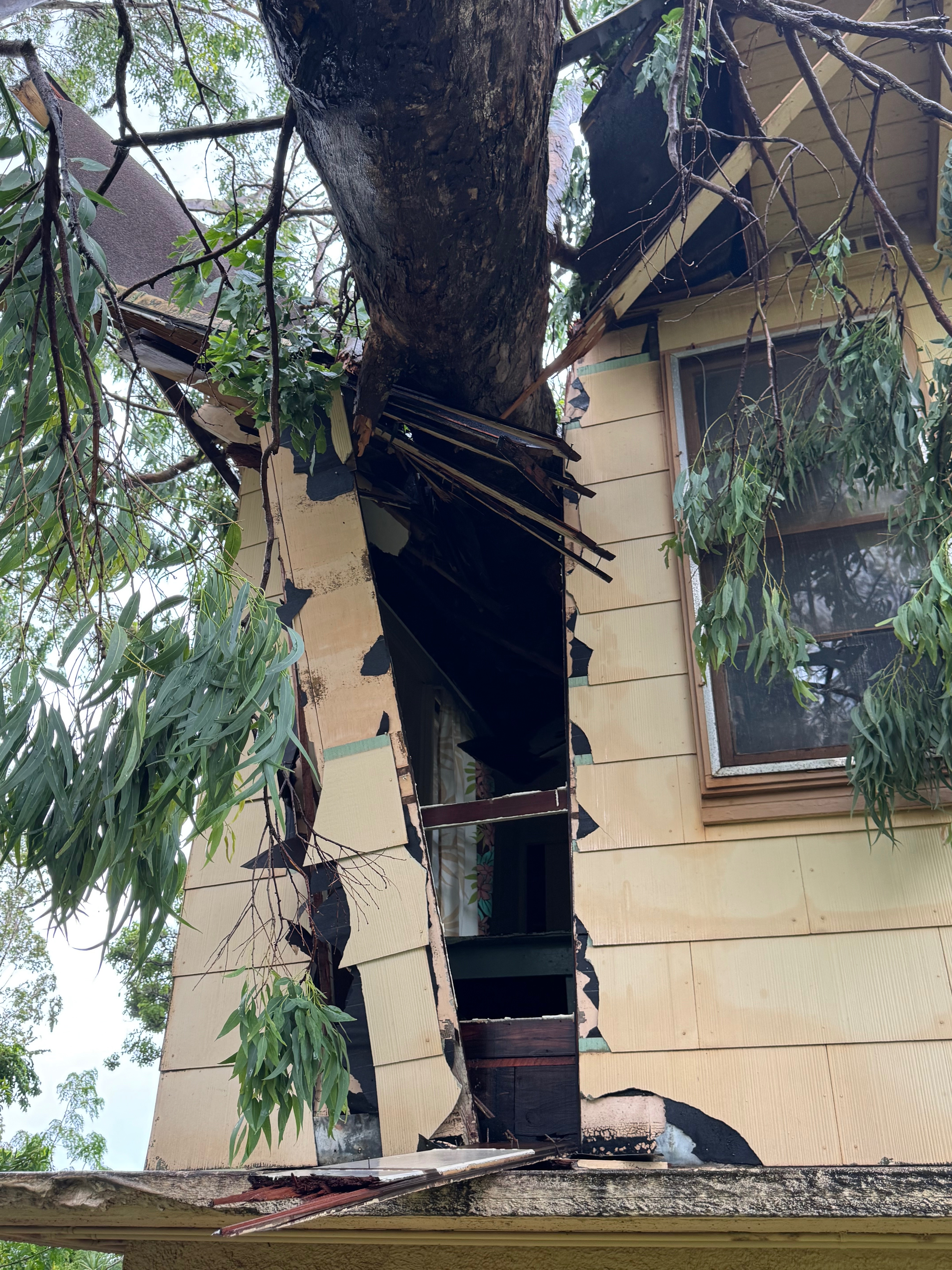 Help St. Joseph’s Catholic Church After Hurricane Lala campaign photo, 5 of 8