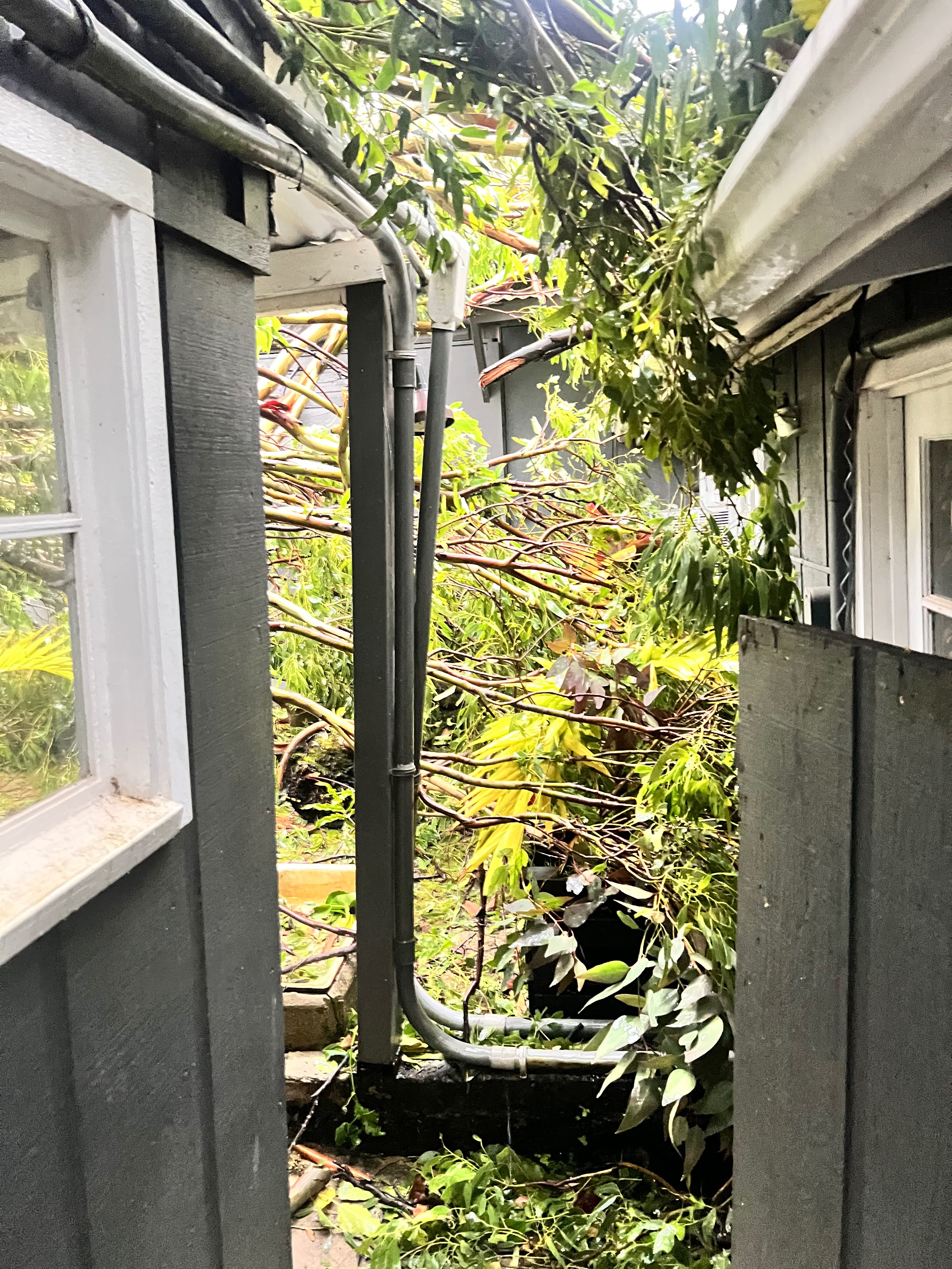 Help Haku Maui Rebuild After Hurricane Lala campaign photo, 4 of 8