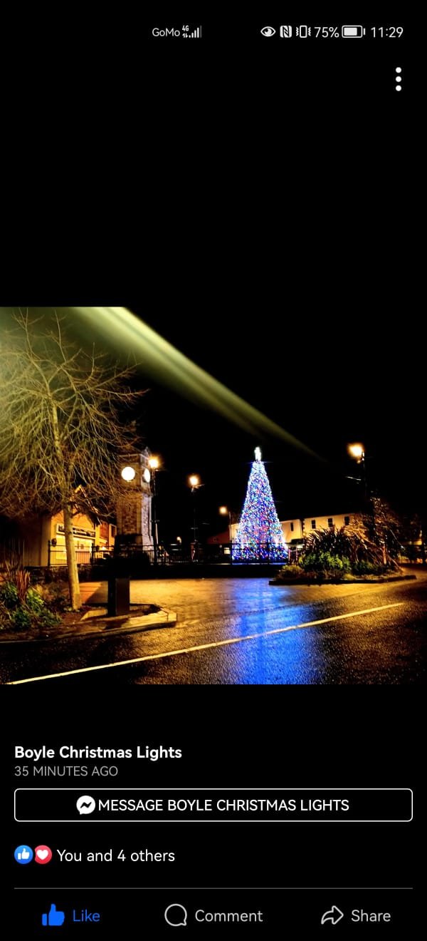 Boyle Christmas Lights 2026 campaign photo, 2 of 4