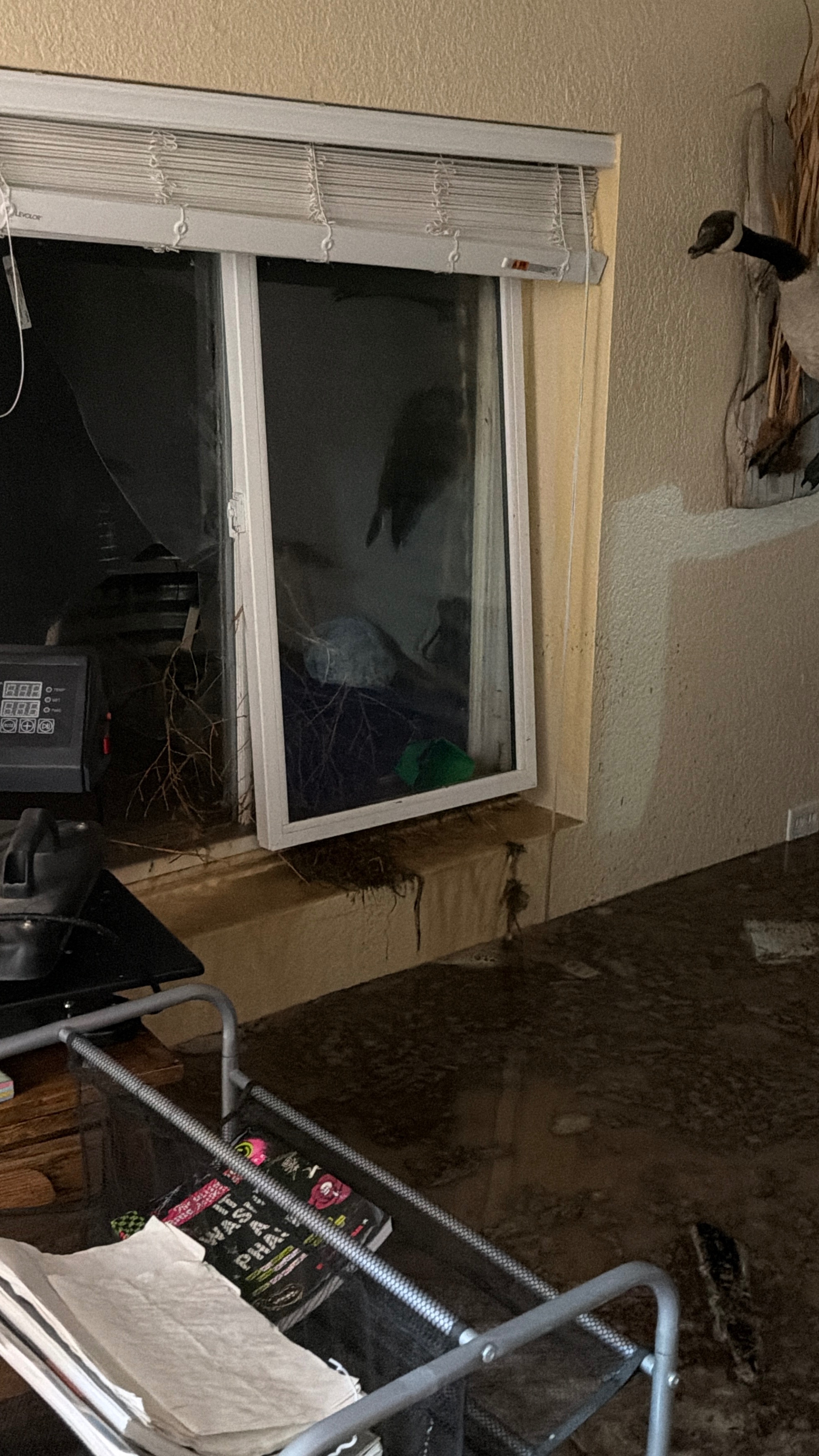 Help Nikki Rebuild After Two Floods campaign photo, 5 of 8