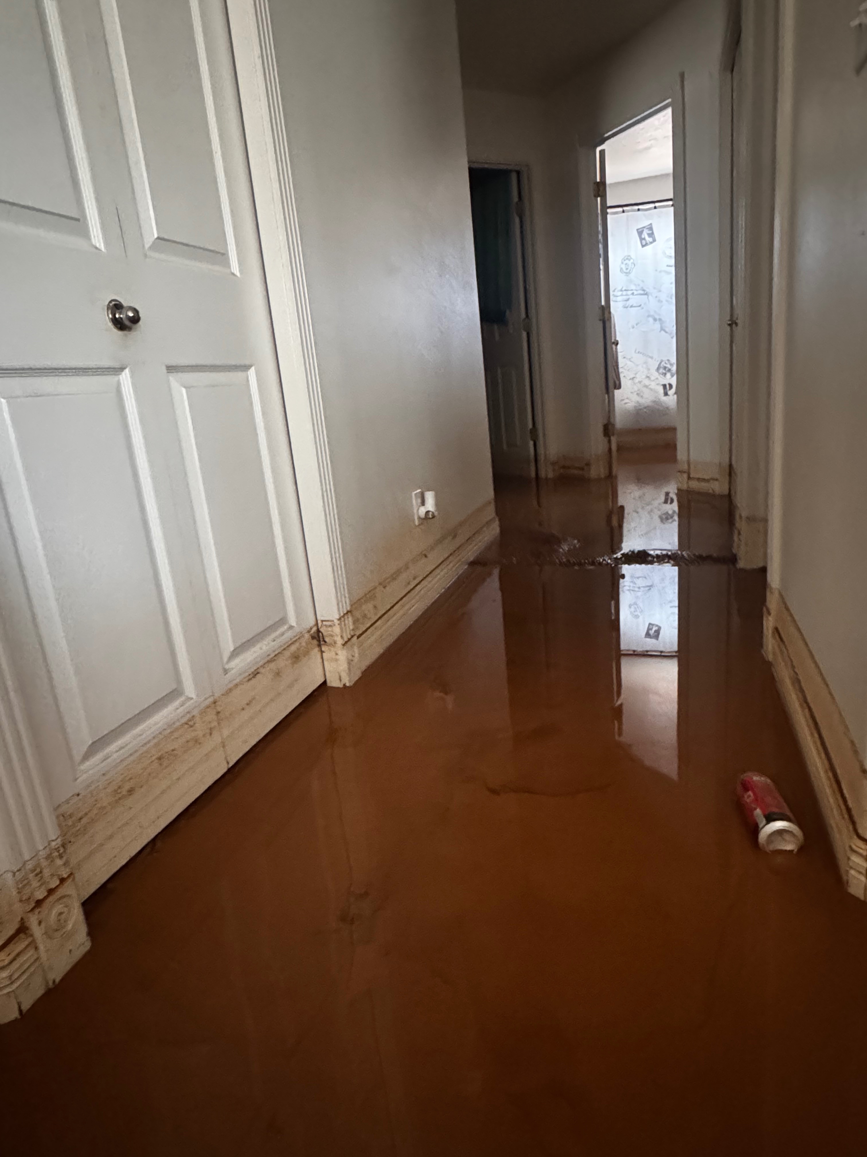 Help Betty Keil-Stevenson Rebuild Home After Flash Flood campaign photo, 7 of 8