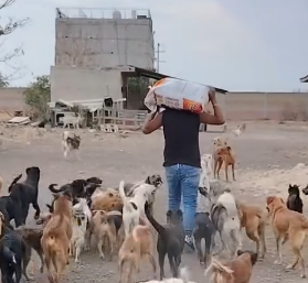 Corre 31: Dejemos Huella por Animare y Goyito campaign photo, 6 of 8