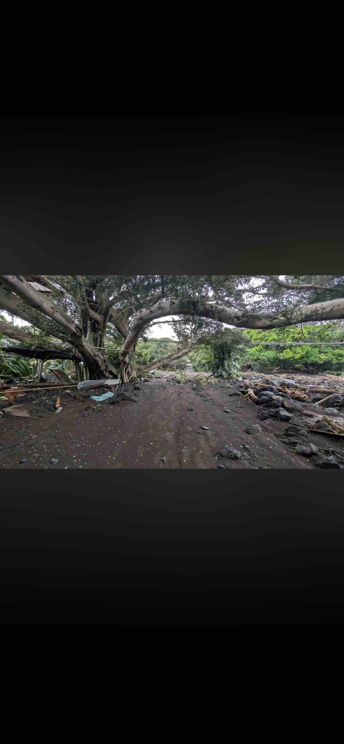 Support Grandpa Greg After Hurricane LaLa's Devastation campaign photo, 6 of 12