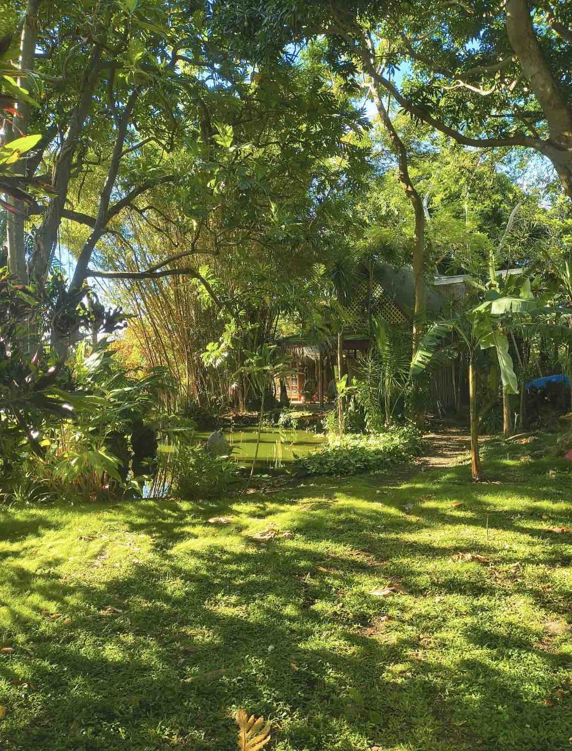 Support Grandpa Greg After Hurricane LaLa's Devastation campaign photo, 9 of 12
