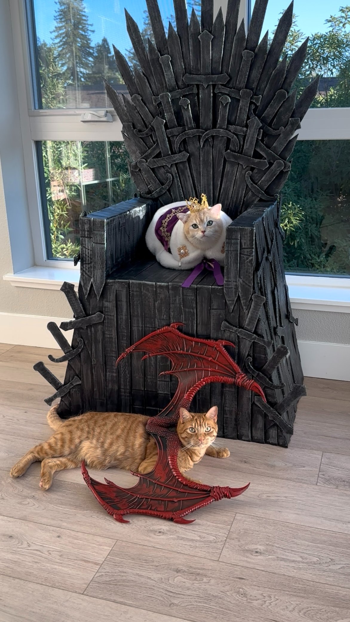 Support Rob and Mickey’s Creative Cat Adventures campaign photo, 5 of 6