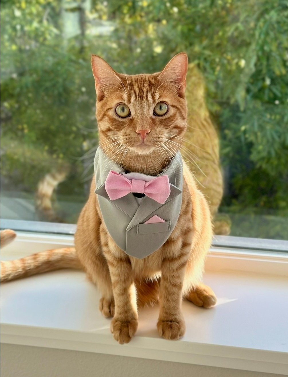 Support Rob and Mickey’s Creative Cat Adventures campaign photo, 2 of 6