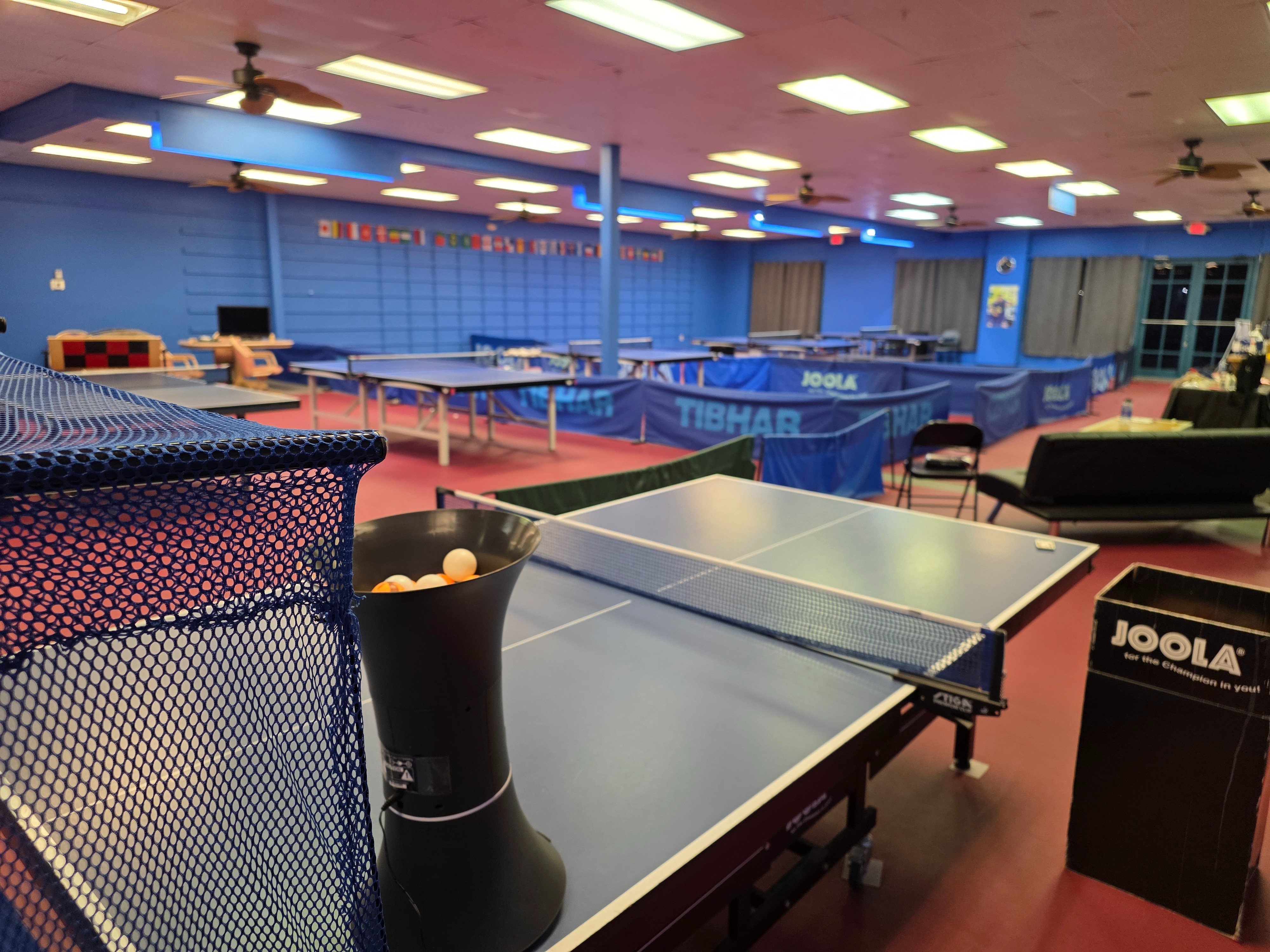 Help Save Our Table Tennis Club campaign photo, 6 of 8