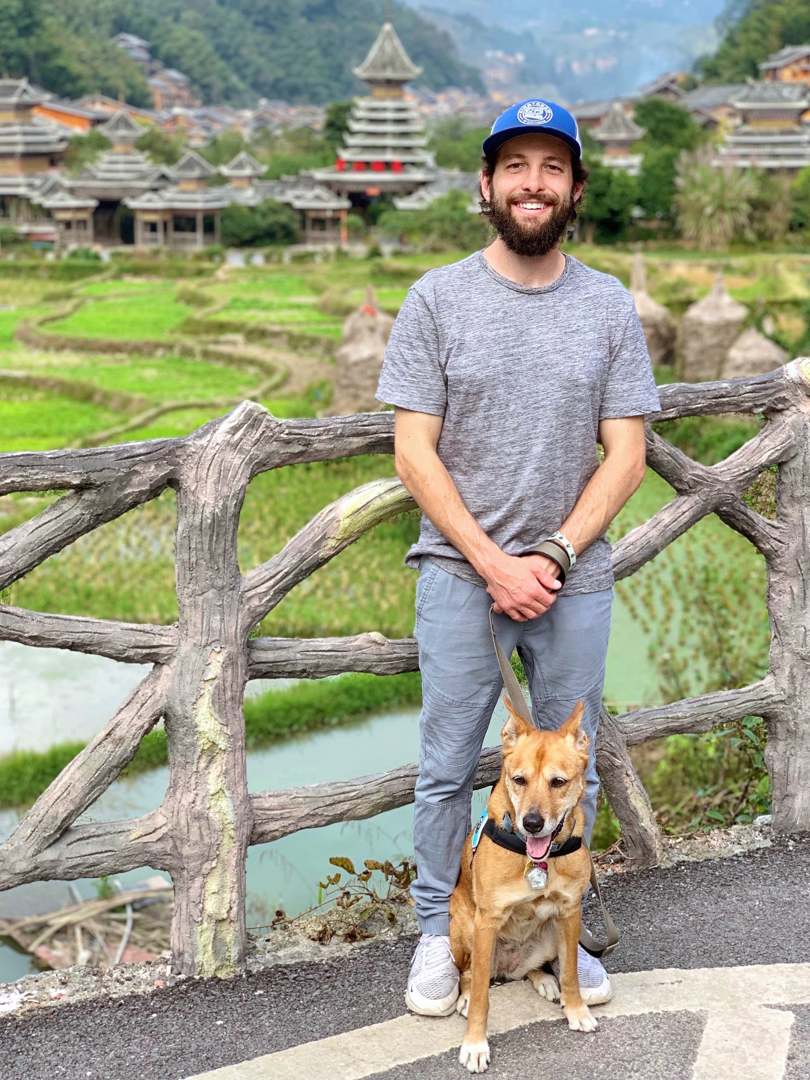 Help Ryan and His Rescue Dogs Recover campaign photo, 4 of 8