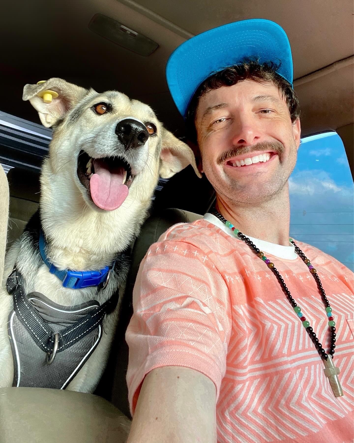 Help Ryan and His Rescue Dogs Recover campaign photo, 5 of 8