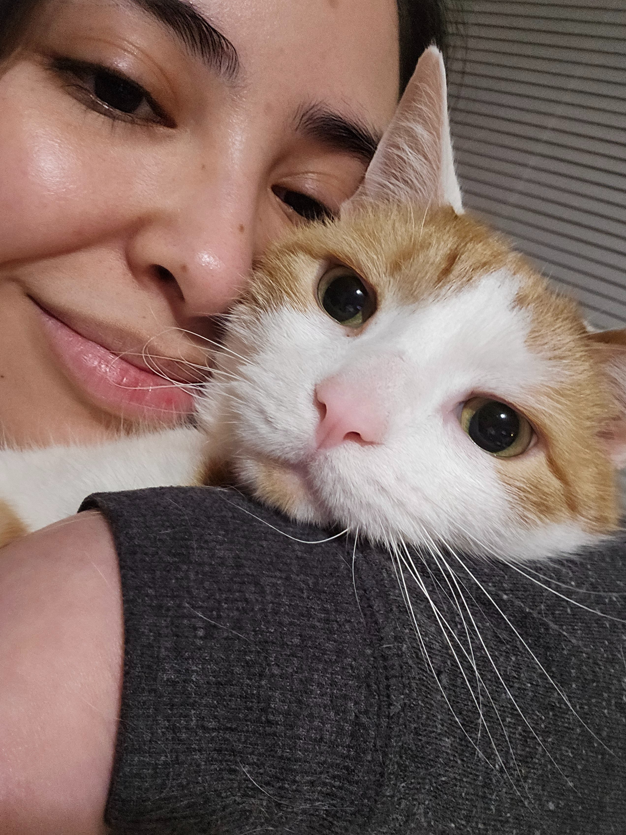 Urgent Help for Blu’s Kidney Treatment campaign photo, 2 of 8