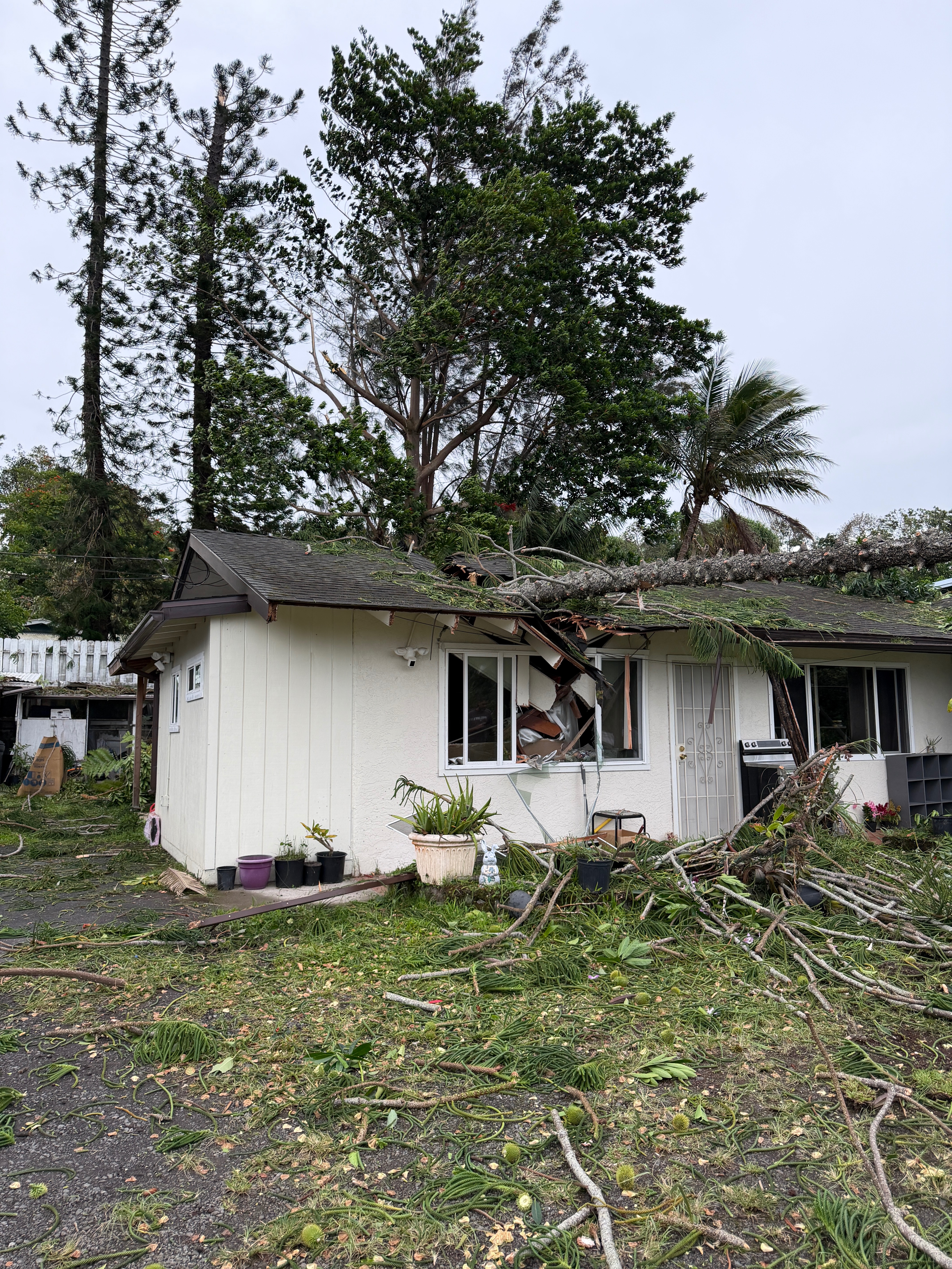 Rebuilding Our Home After Hurricane Lala campaign photo, 6 of 8