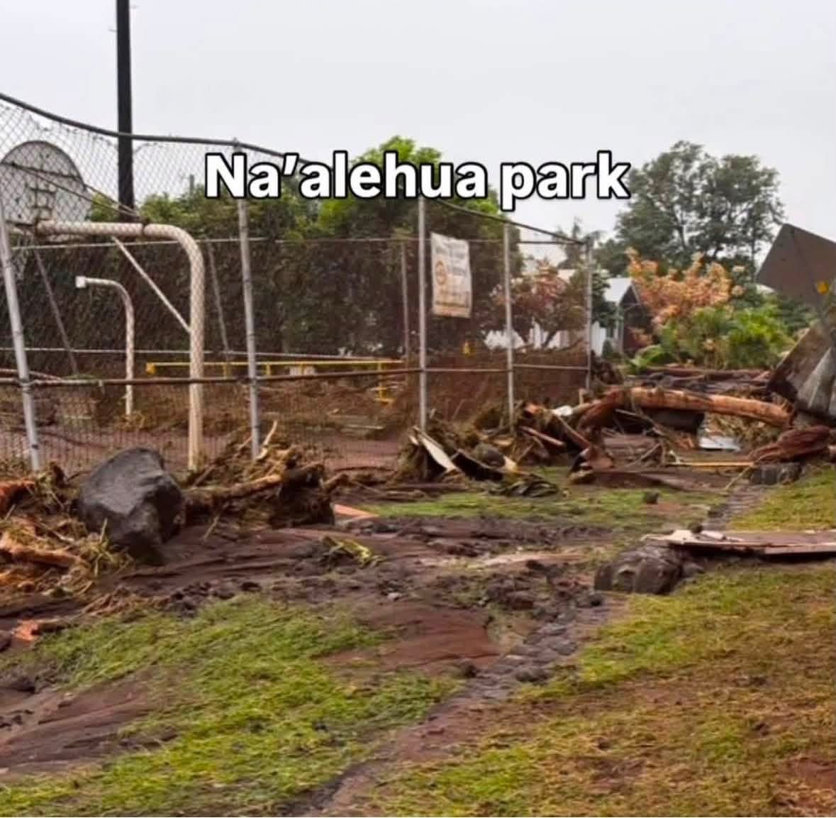 Help Pāhala and Nā‘ālehu Recover campaign photo, 2 of 6