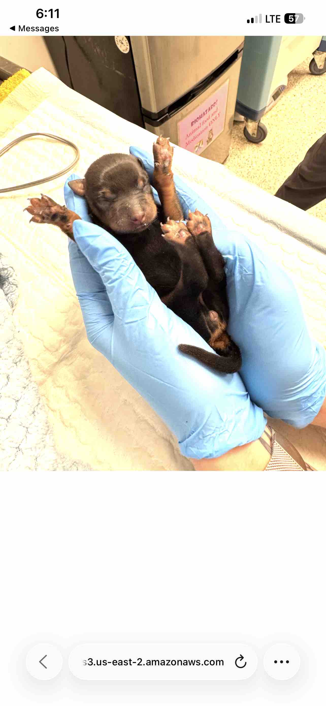 Urgent ICU Care for Lucy’s Sole Survivor Baby from SEAACA campaign photo, 7 of 10