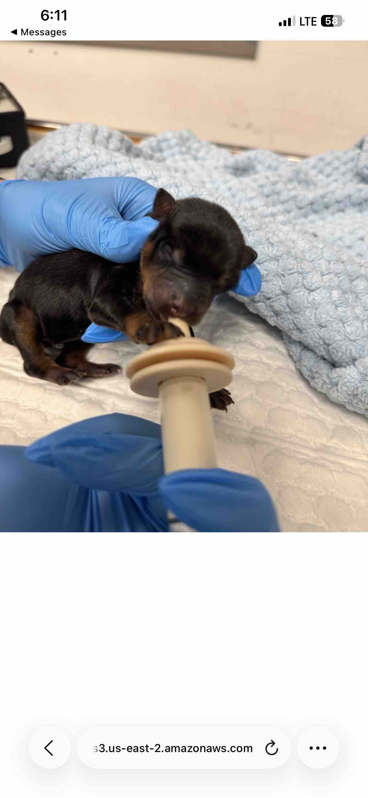 Urgent ICU Care for Lucy’s Sole Survivor Baby from SEAACA campaign photo, 8 of 10