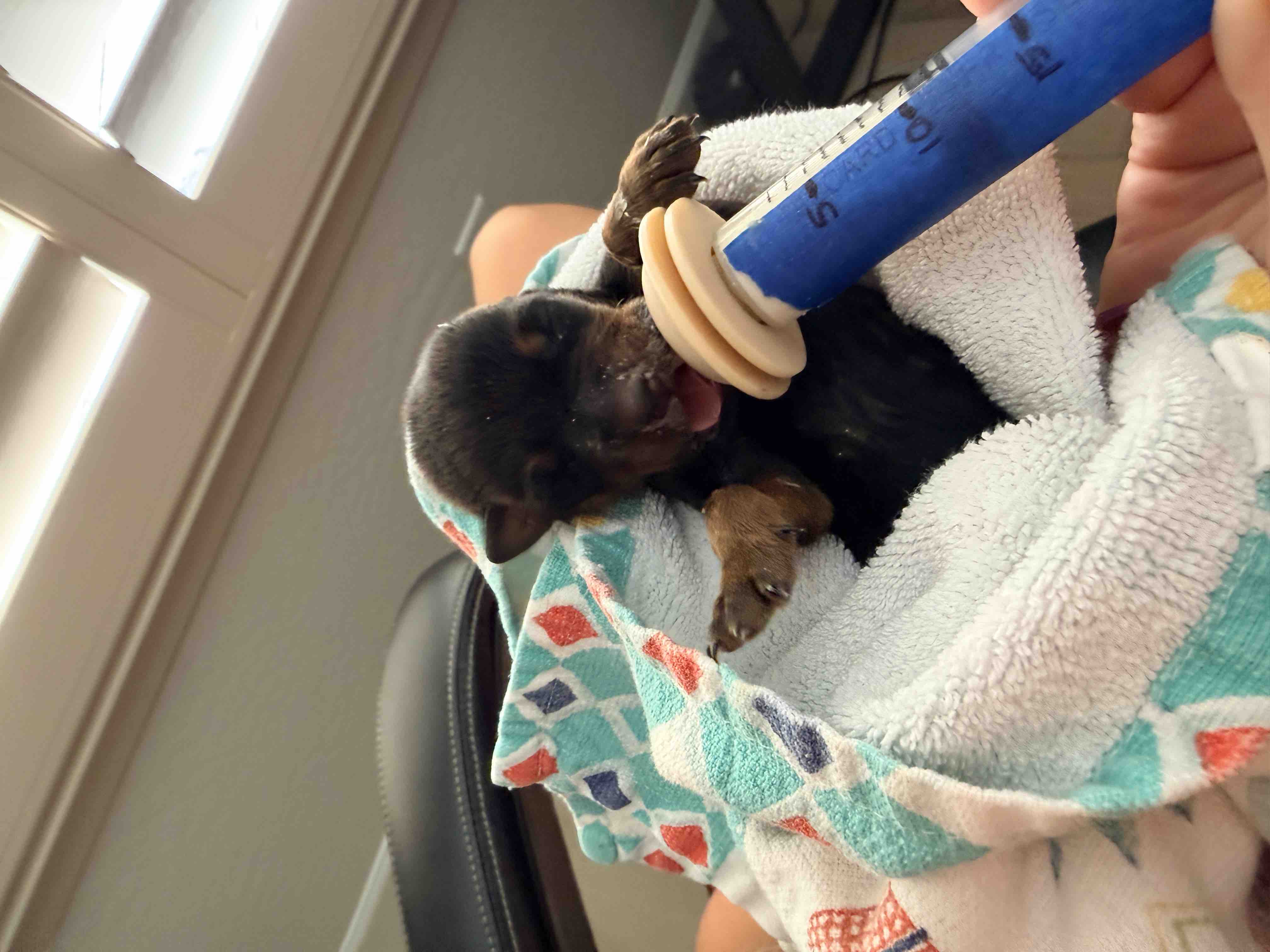 UPDATE - Urgent ICU Care for Lucy’s Baby Lucy campaign photo, 9 of 13