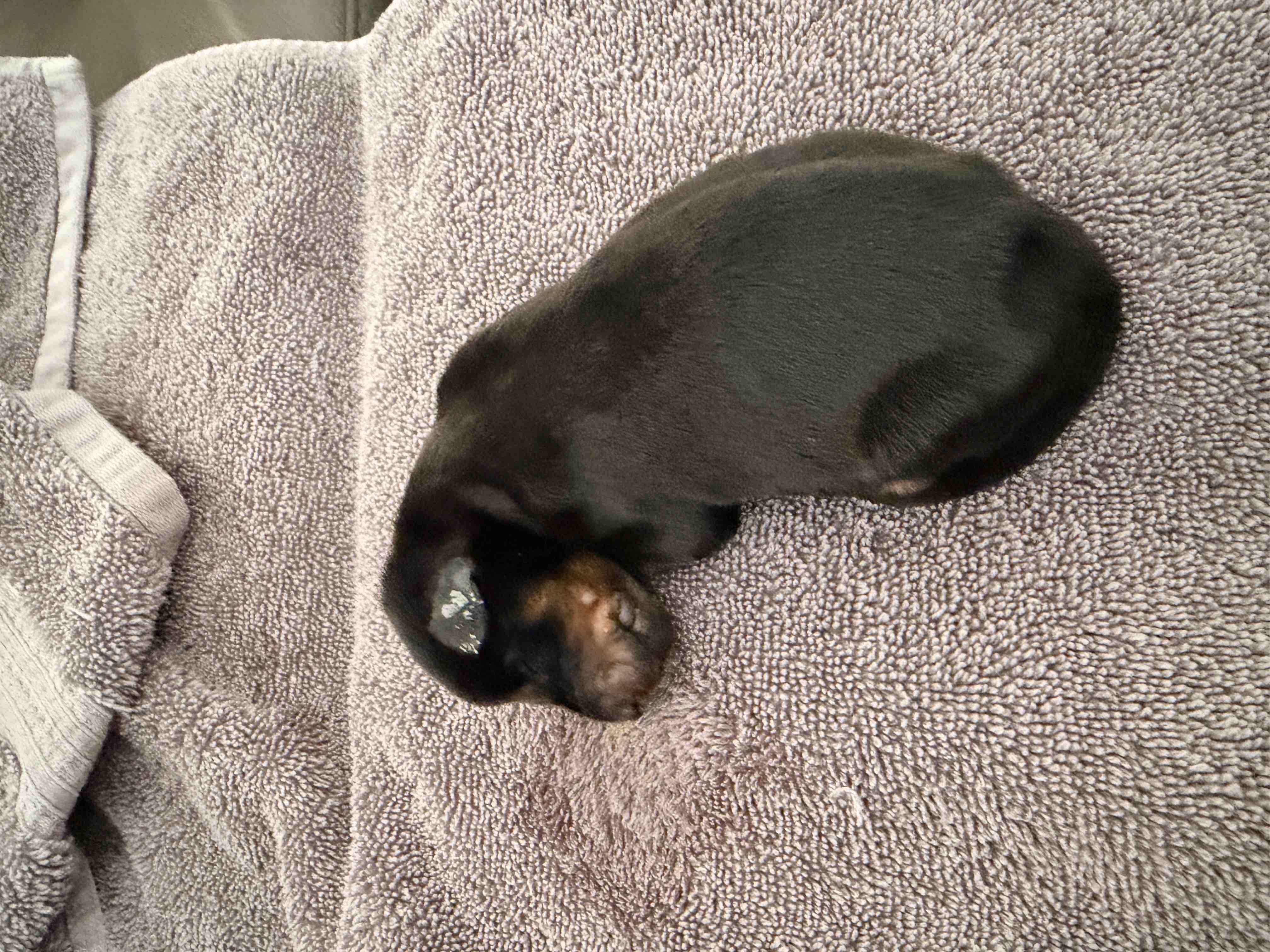 UPDATE - Urgent ICU Care for Lucy’s Baby Lucy campaign photo, 10 of 13