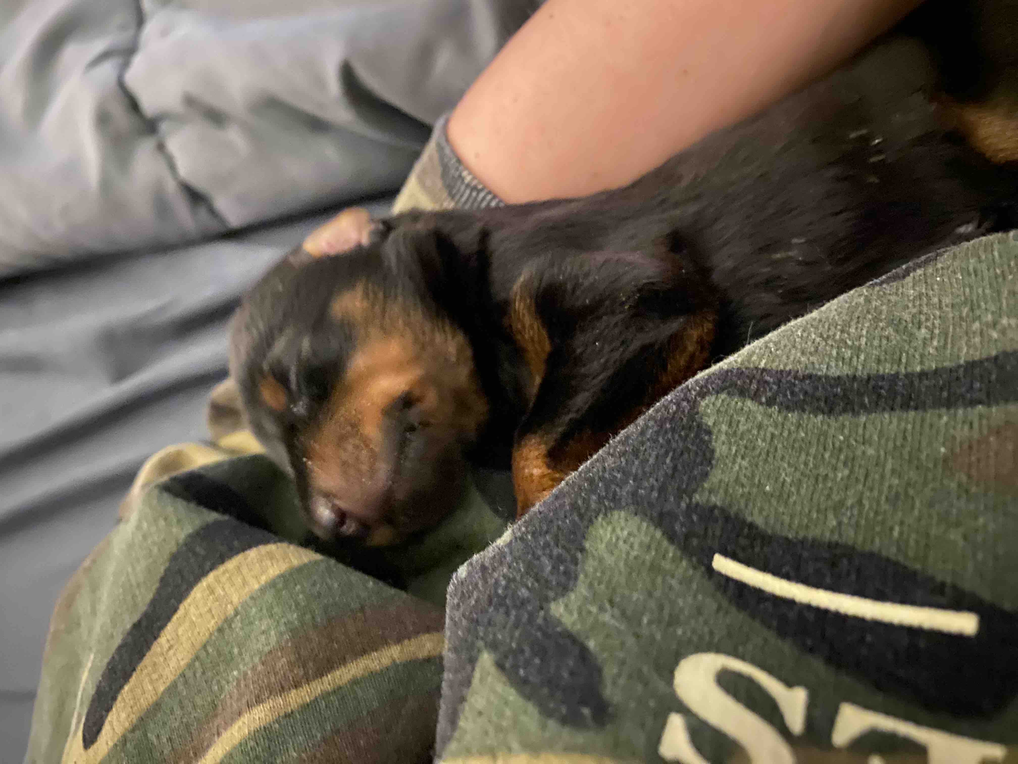 UPDATE - Urgent ICU Care for Lucy’s Baby Lucy campaign photo, 11 of 13