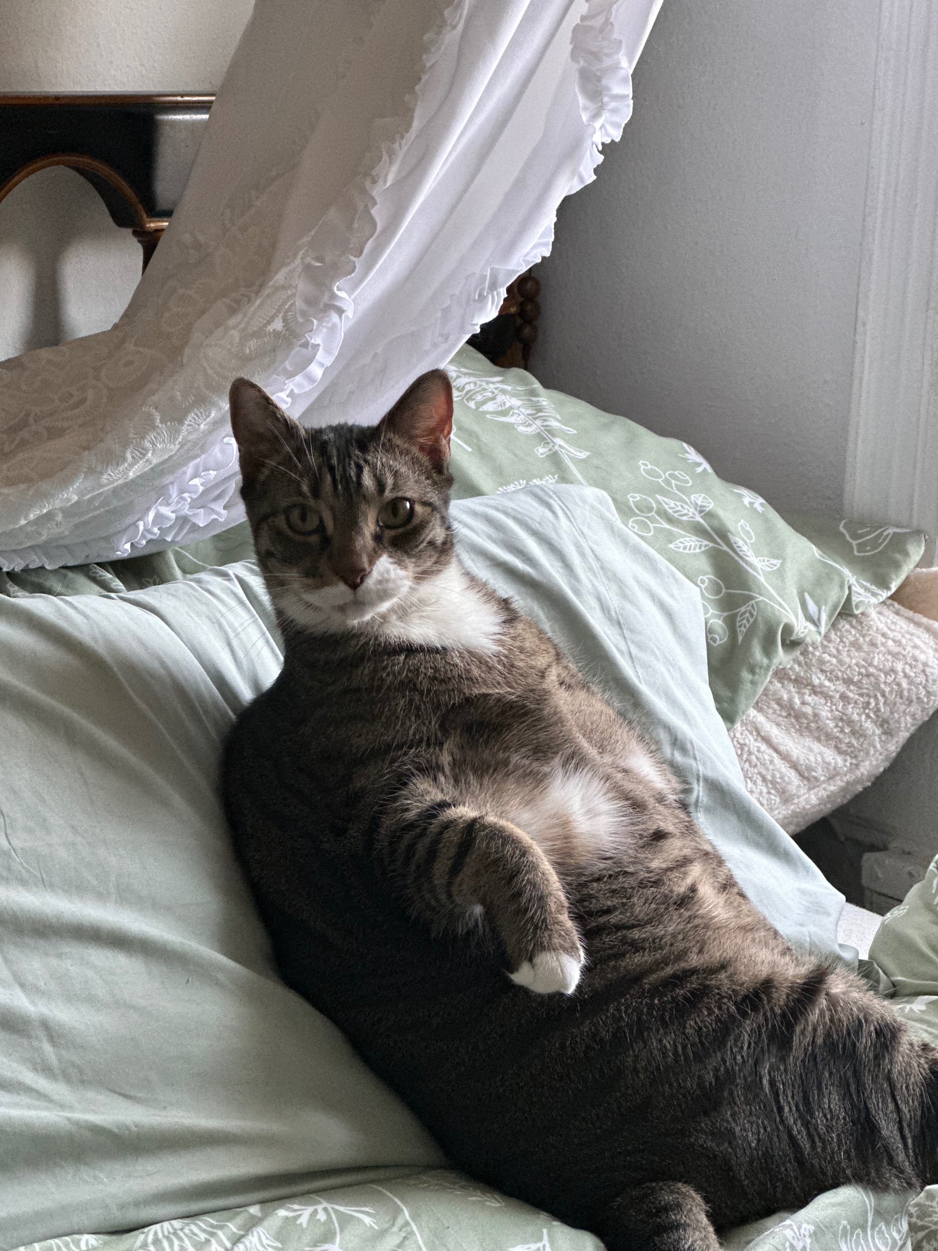 Fatboy's Thyroid Treatment Fund campaign photo, 5 of 8