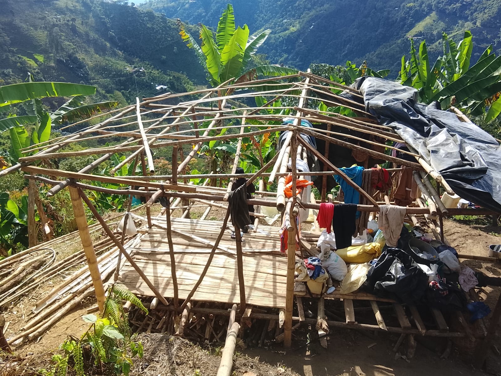 Support Pijao Families After Earthquake and Fires campaign photo, 5 of 8