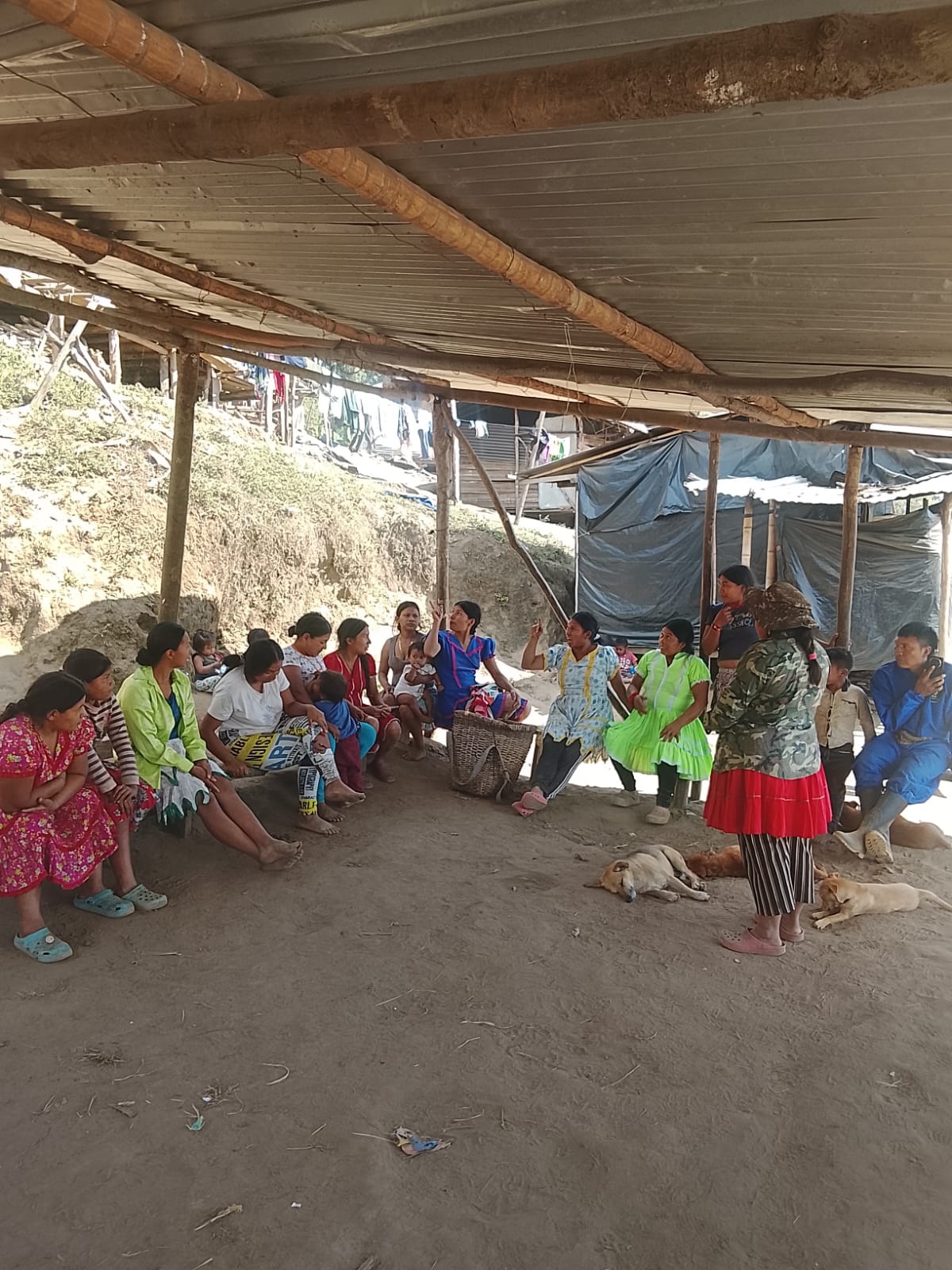 Support Pijao Families After Earthquake and Fires campaign photo, 4 of 8