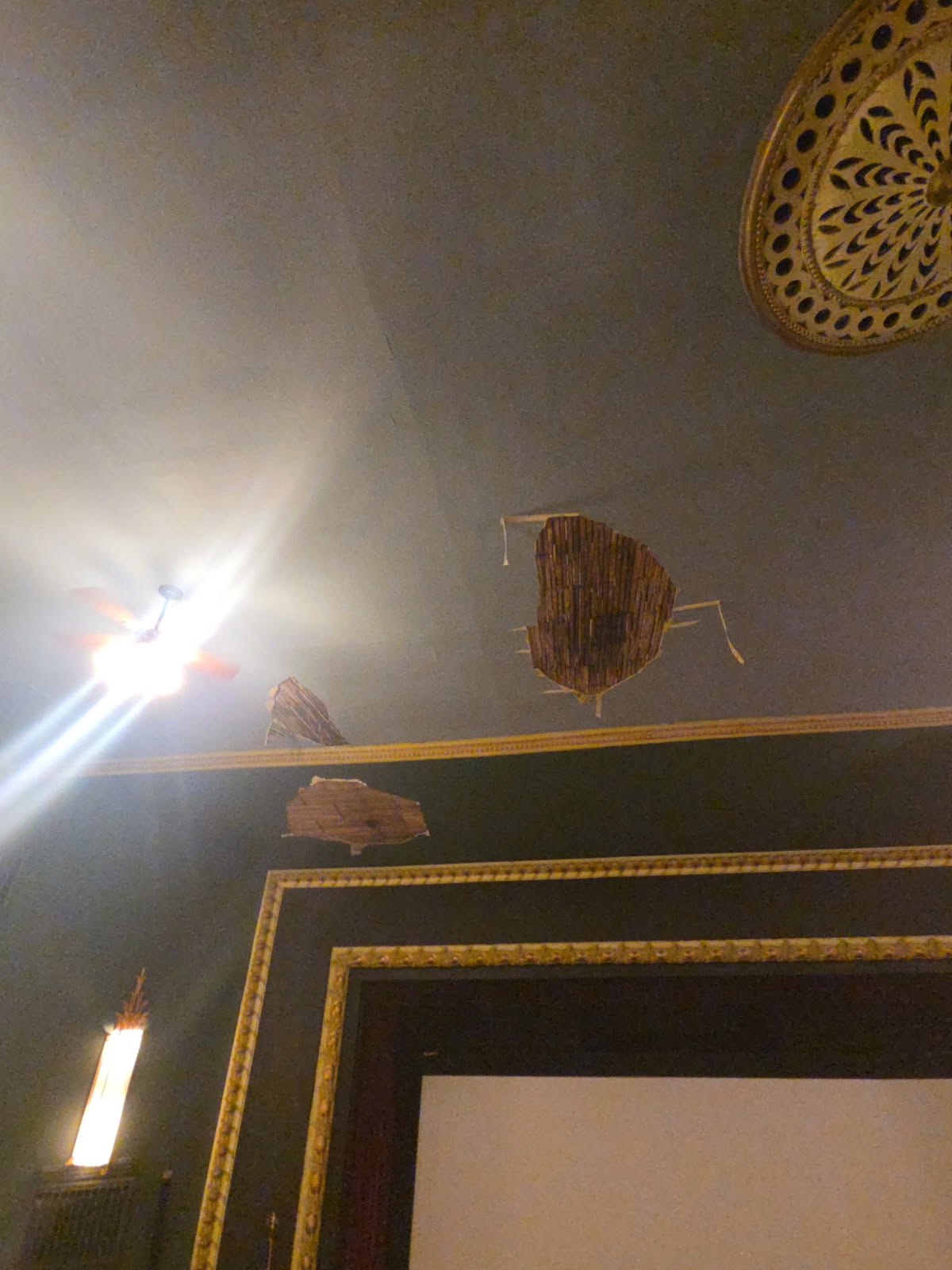 Help Repair the Historic Windsor Theatre's Ceiling campaign photo, 6 of 7
