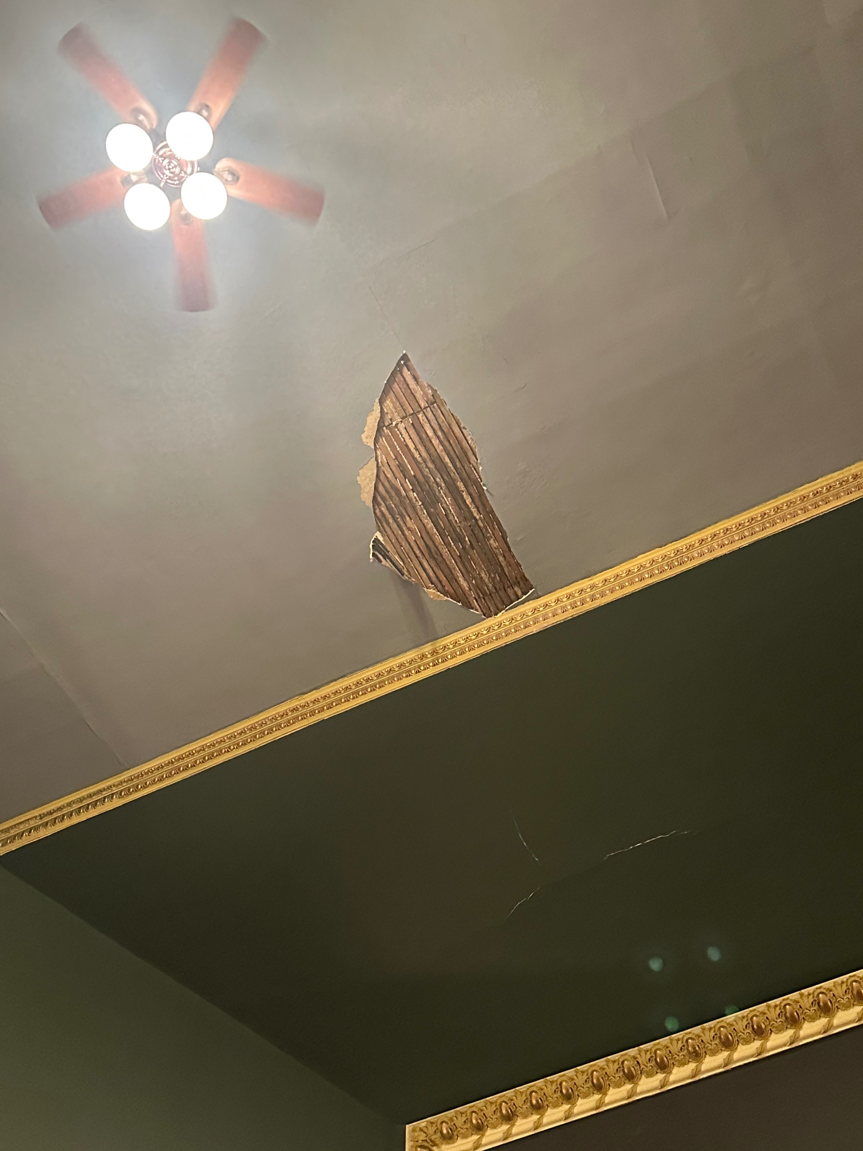 Help Repair the Historic Windsor Theatre's Ceiling campaign photo, 2 of 7