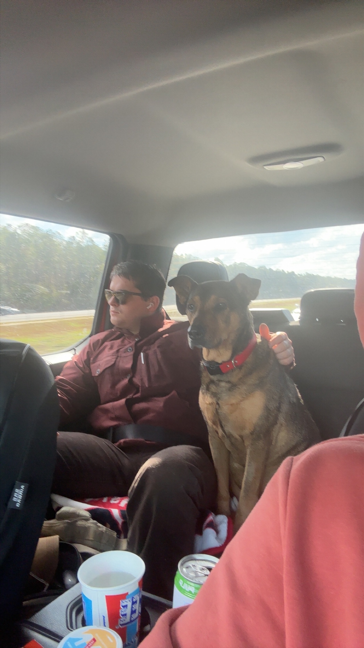 Help Save Dude: Zach's Best Friend Needs Treatment campaign photo, 7 of 8