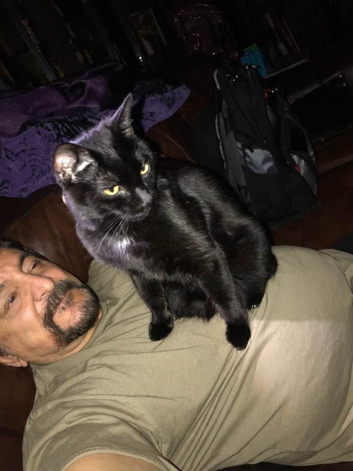 Support Tom Savini After House Fire campaign photo, 7 of 8