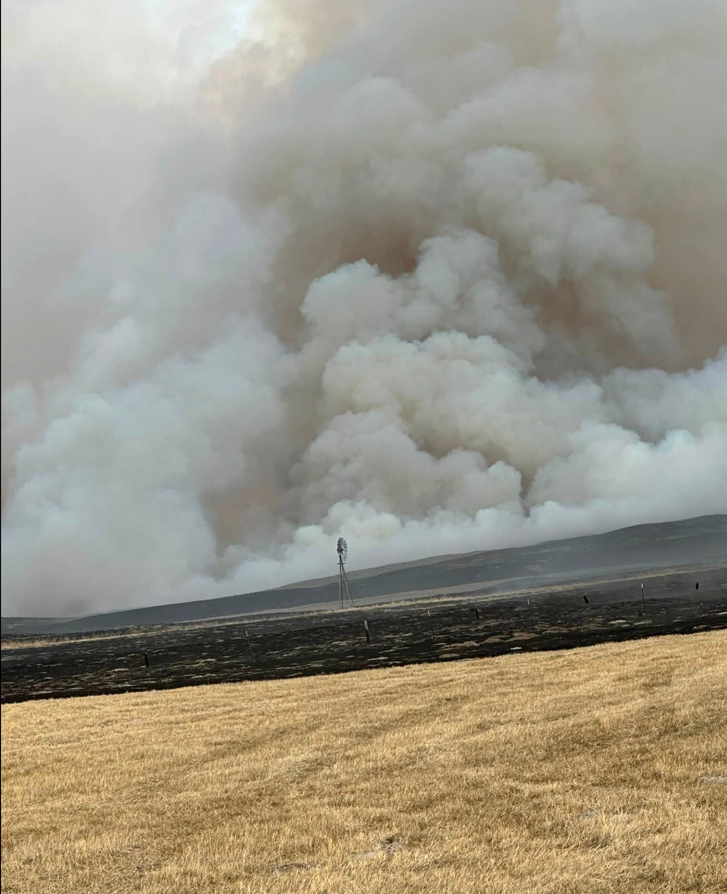 Help Rebuild Circle L Ranch After Devastating Fire campaign photo, 4 of 5