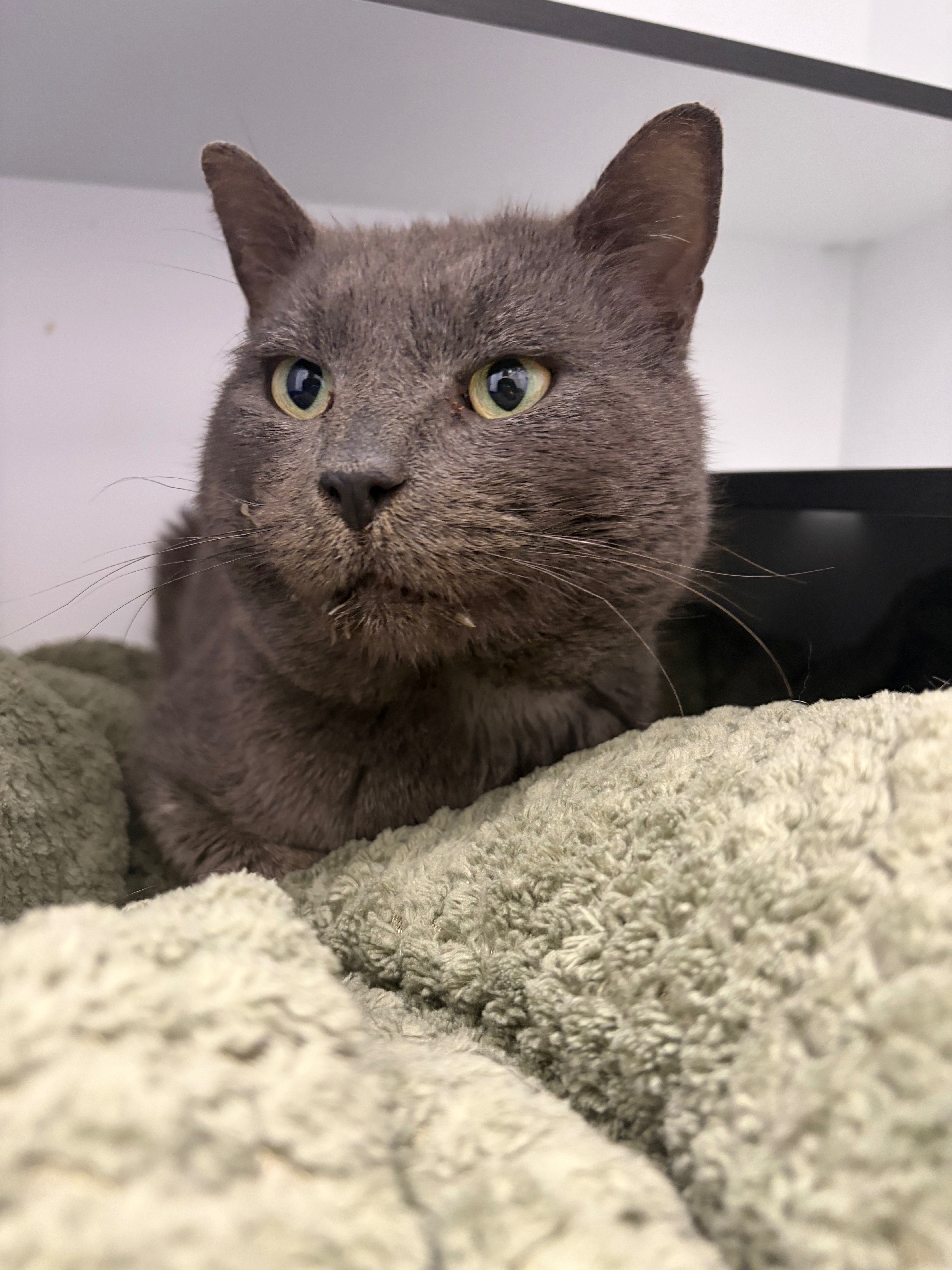 Help Percy Get Life Changing Surgery campaign photo, 2 of 8