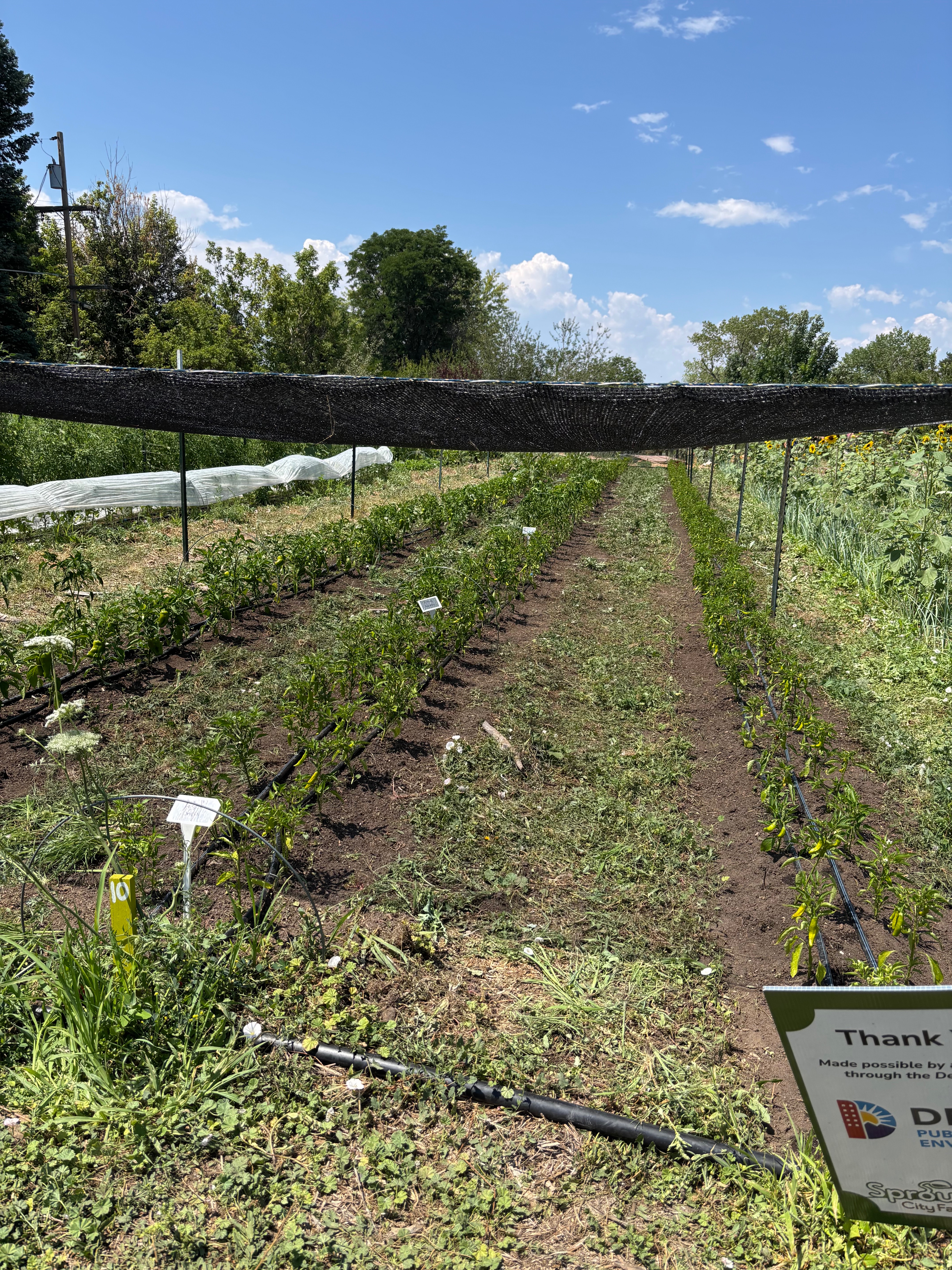 Help Me Thrive After Overcoming Trauma campaign photo, 5 of 8