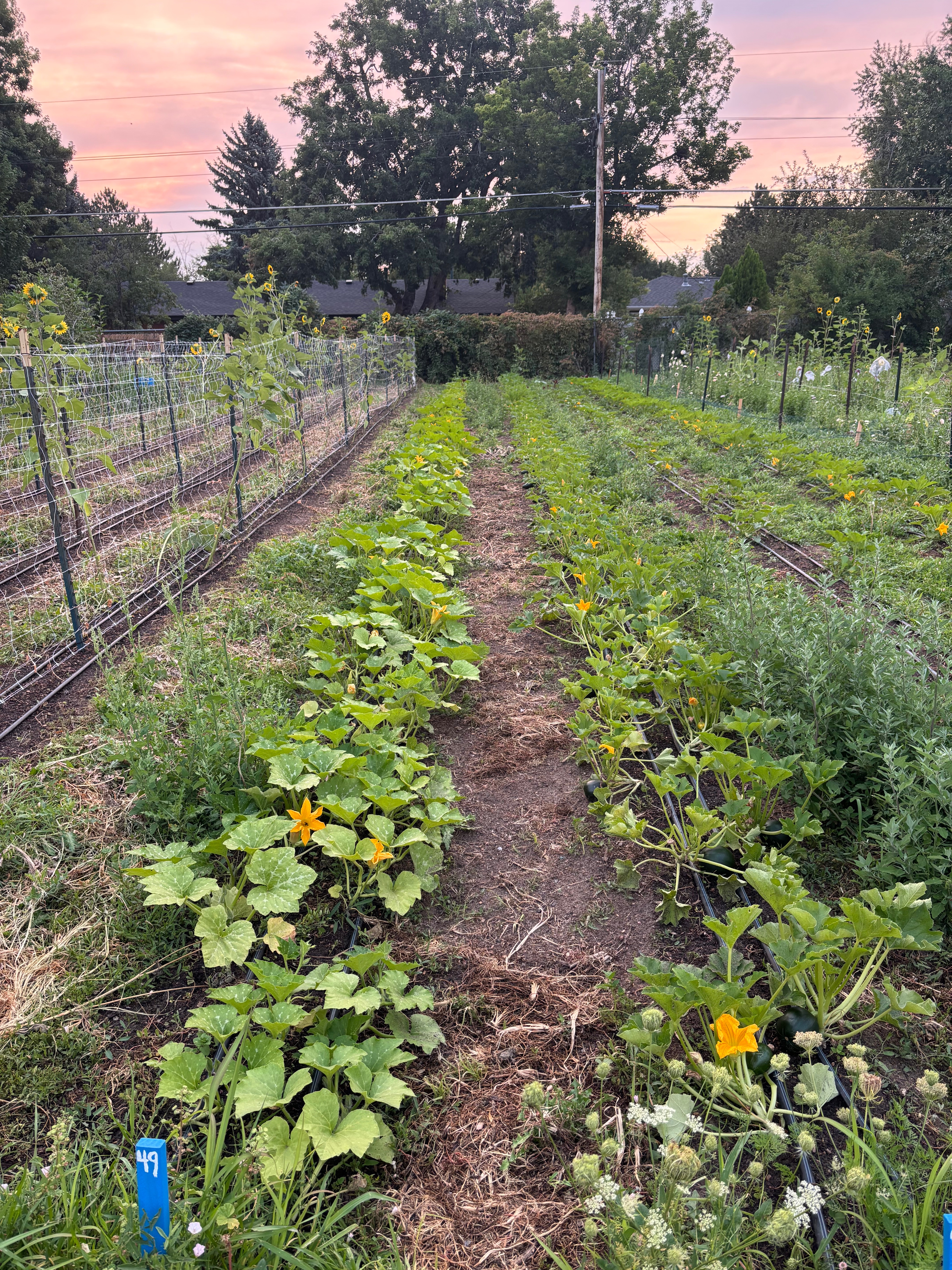 Help Me Thrive After Overcoming Trauma campaign photo, 6 of 8