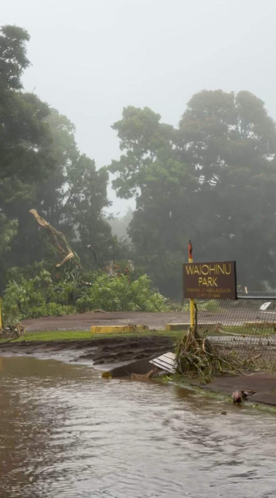 Support ʻohana Waiʻōhinu After Hurricane Lala's Devastation campaign photo, 2 of 8